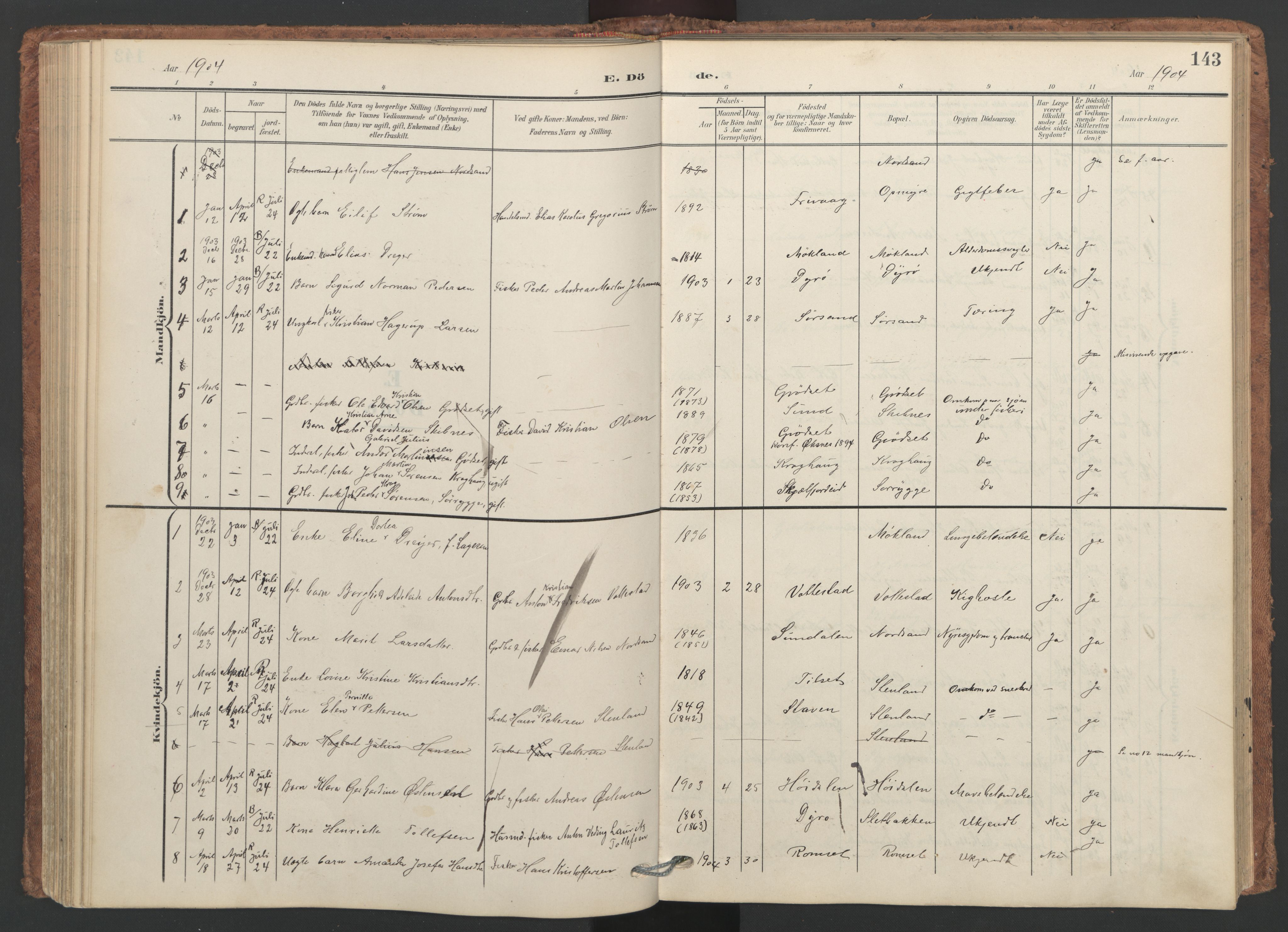 Ministerialprotokoller, klokkerbøker og fødselsregistre - Nordland, SAT/A-1459/893/L1339: Parish register (official) no. 893A11, 1904-1914, p. 143