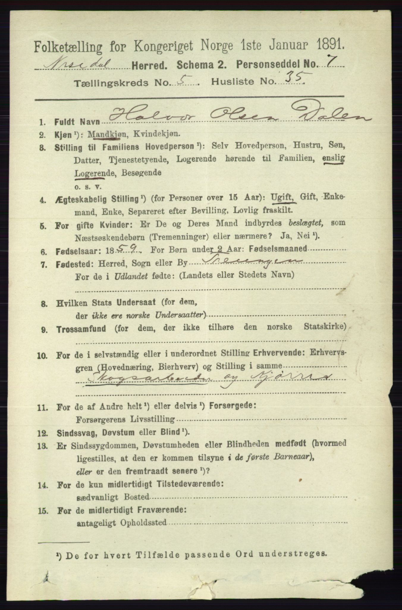 RA, 1891 census for 0830 Nissedal, 1891, p. 1313