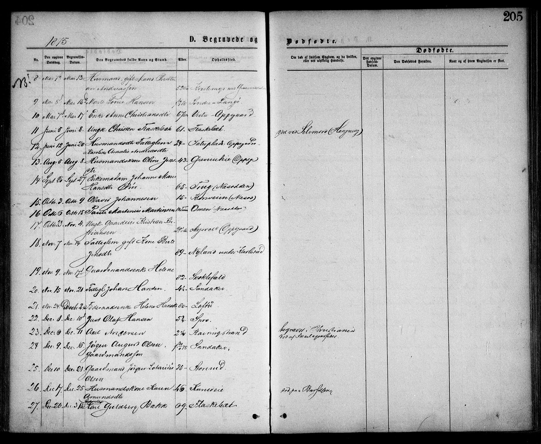 Nesodden prestekontor Kirkebøker, AV/SAO-A-10013/F/Fa/L0008: Parish register (official) no. I 8, 1869-1879, p. 205