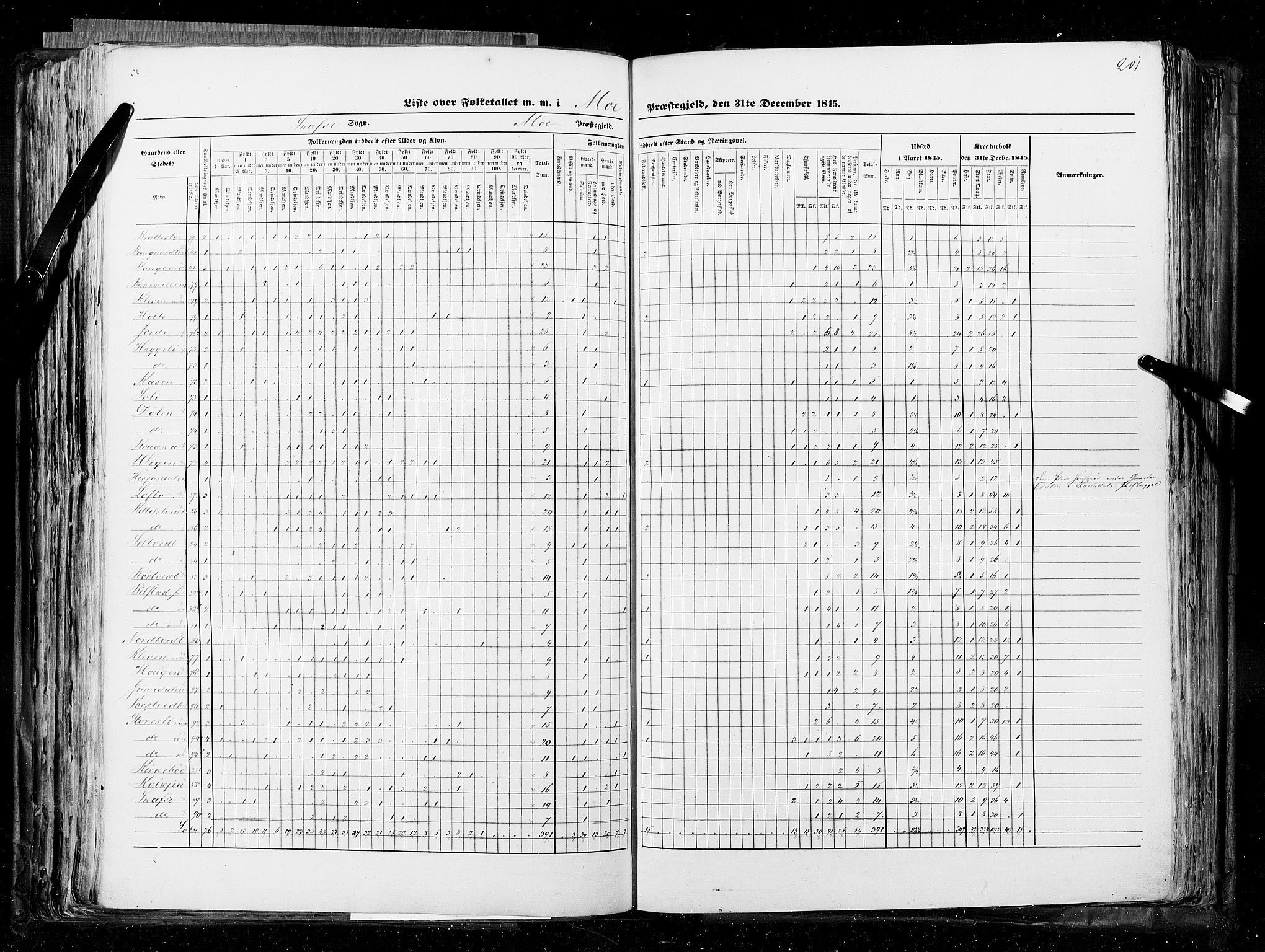 RA, Census 1845, vol. 5: Bratsberg amt og Nedenes og Råbyggelaget amt, 1845, p. 201