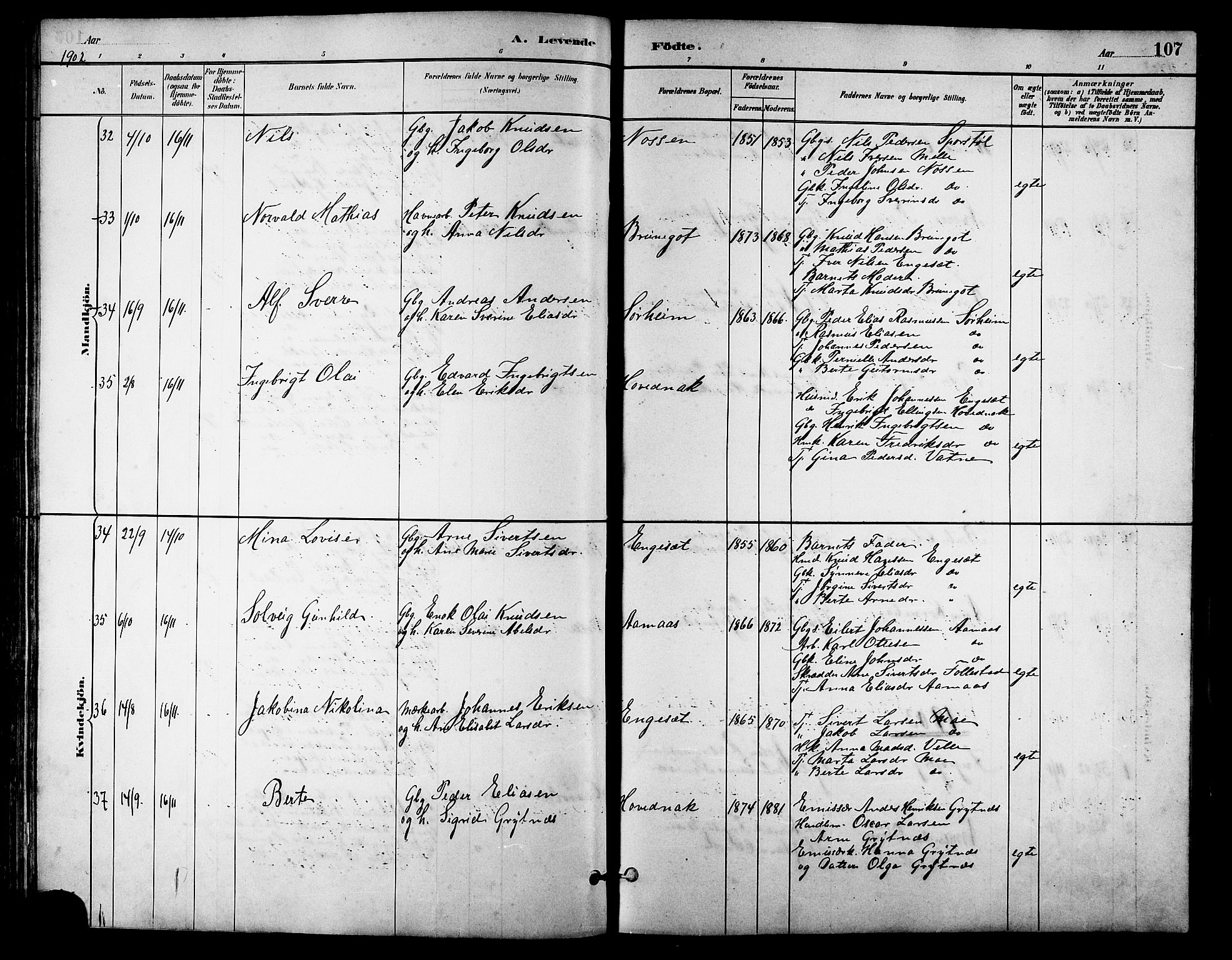 Ministerialprotokoller, klokkerbøker og fødselsregistre - Møre og Romsdal, AV/SAT-A-1454/513/L0189: Parish register (copy) no. 513C03, 1883-1904, p. 107