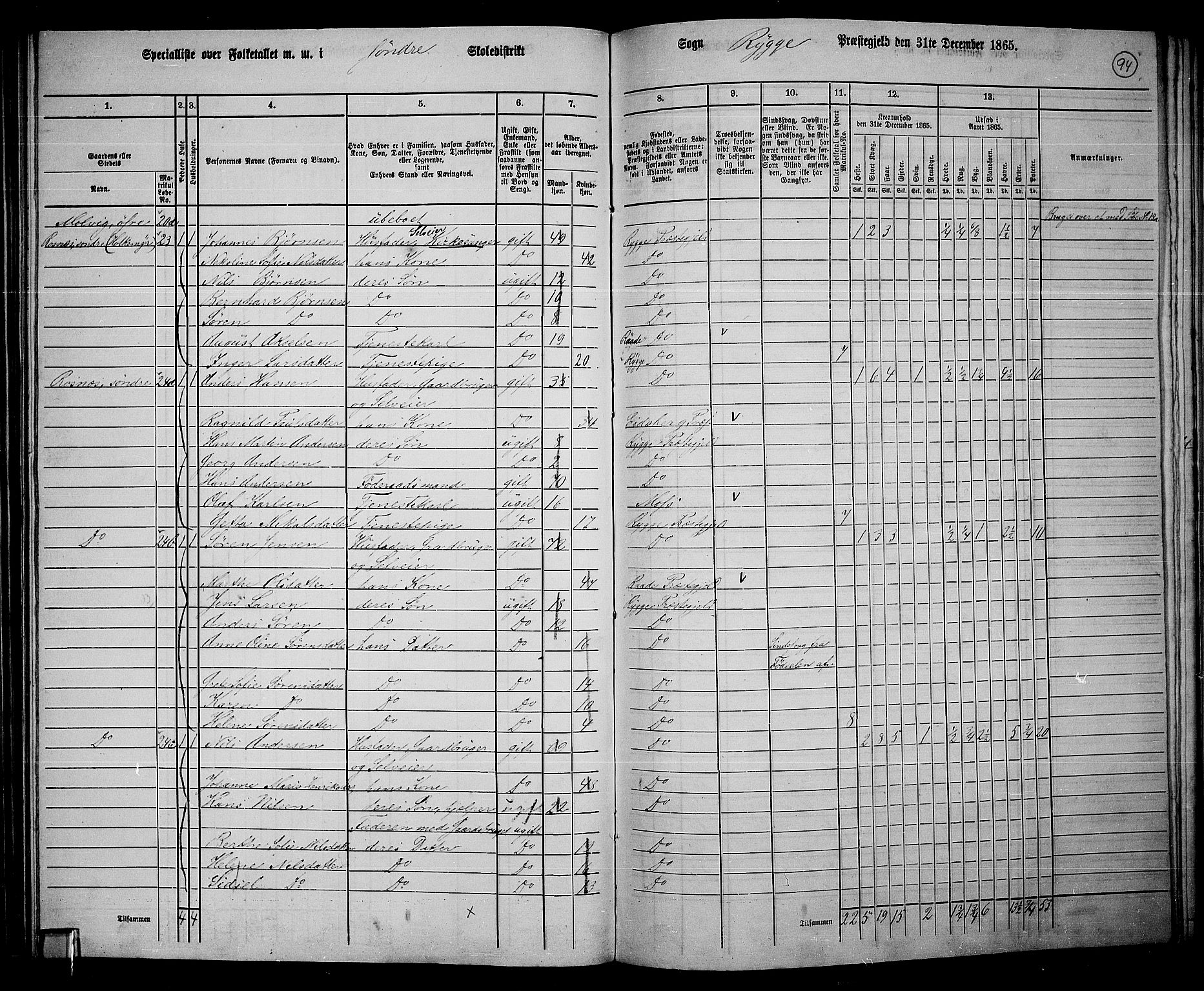 RA, 1865 census for Rygge, 1865, p. 37