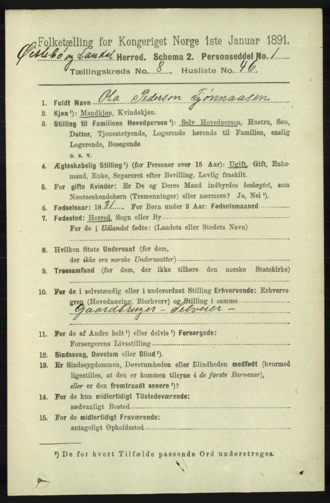 RA, 1891 census for 1021 Øyslebø og Laudal, 1891, p. 2354