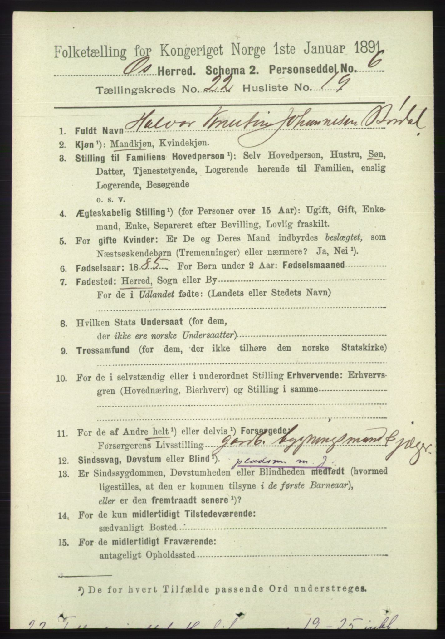 RA, 1891 census for 1243 Os, 1891, p. 5003