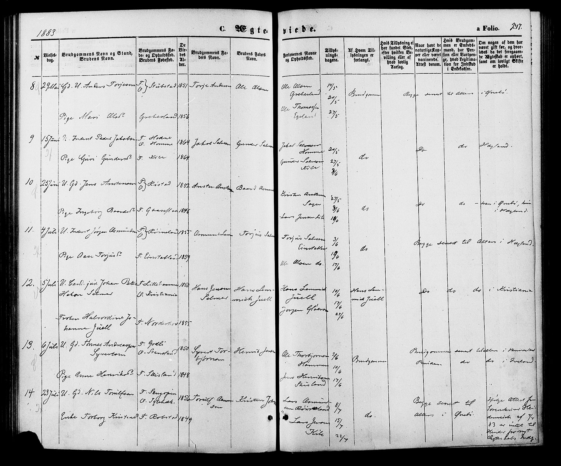 Vennesla sokneprestkontor, SAK/1111-0045/Fa/Fac/L0008: Parish register (official) no. A 8, 1874-1883, p. 247