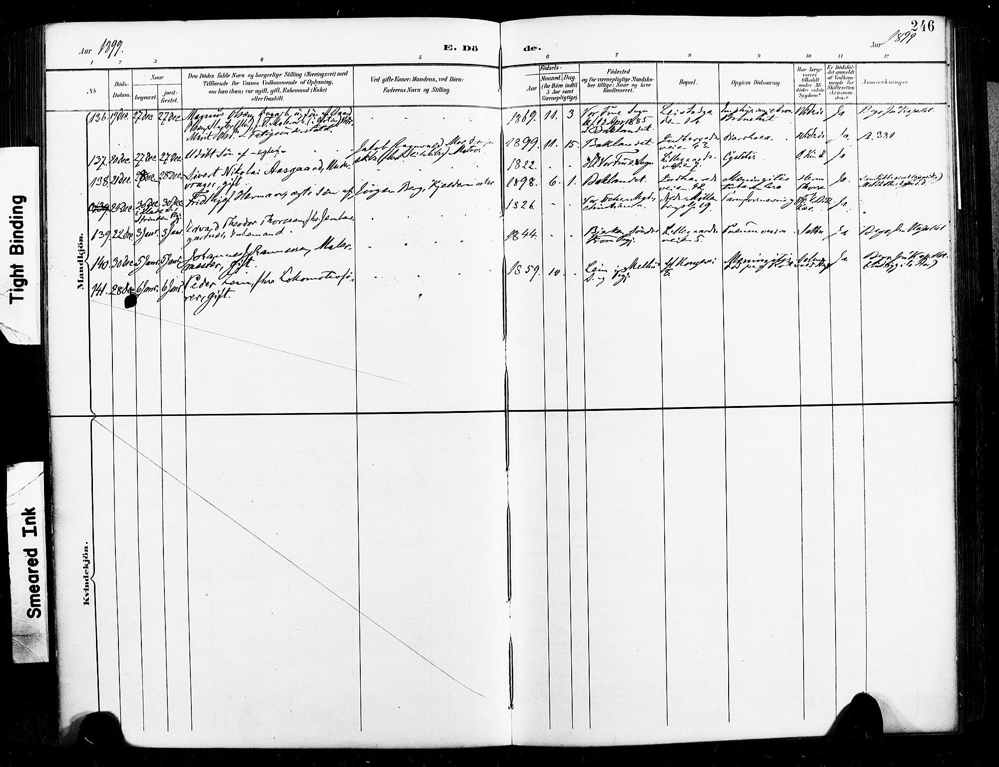 Ministerialprotokoller, klokkerbøker og fødselsregistre - Sør-Trøndelag, SAT/A-1456/604/L0198: Parish register (official) no. 604A19, 1893-1900, p. 246
