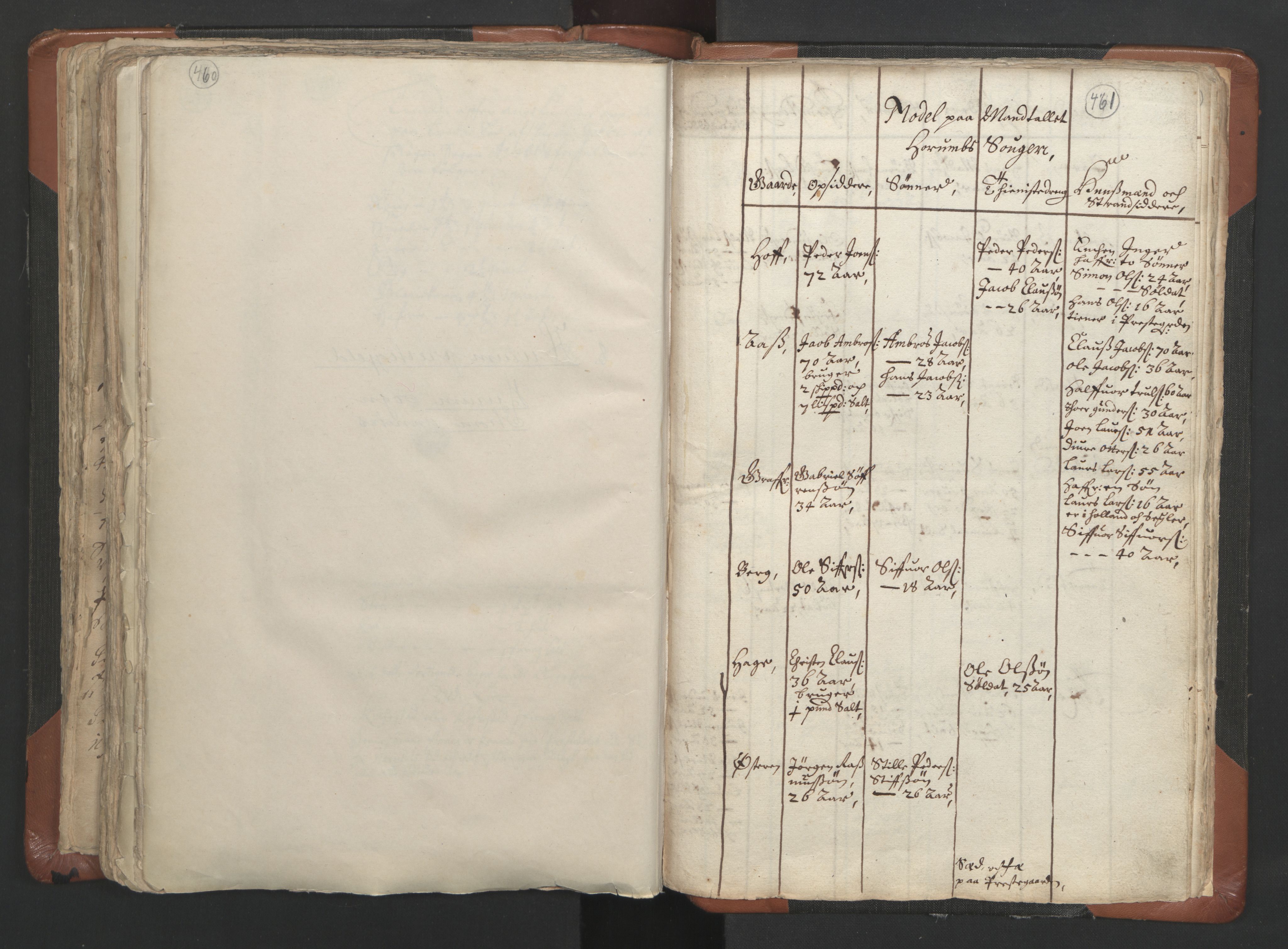 RA, Vicar's Census 1664-1666, no. 9: Bragernes deanery, 1664-1666, p. 460-461