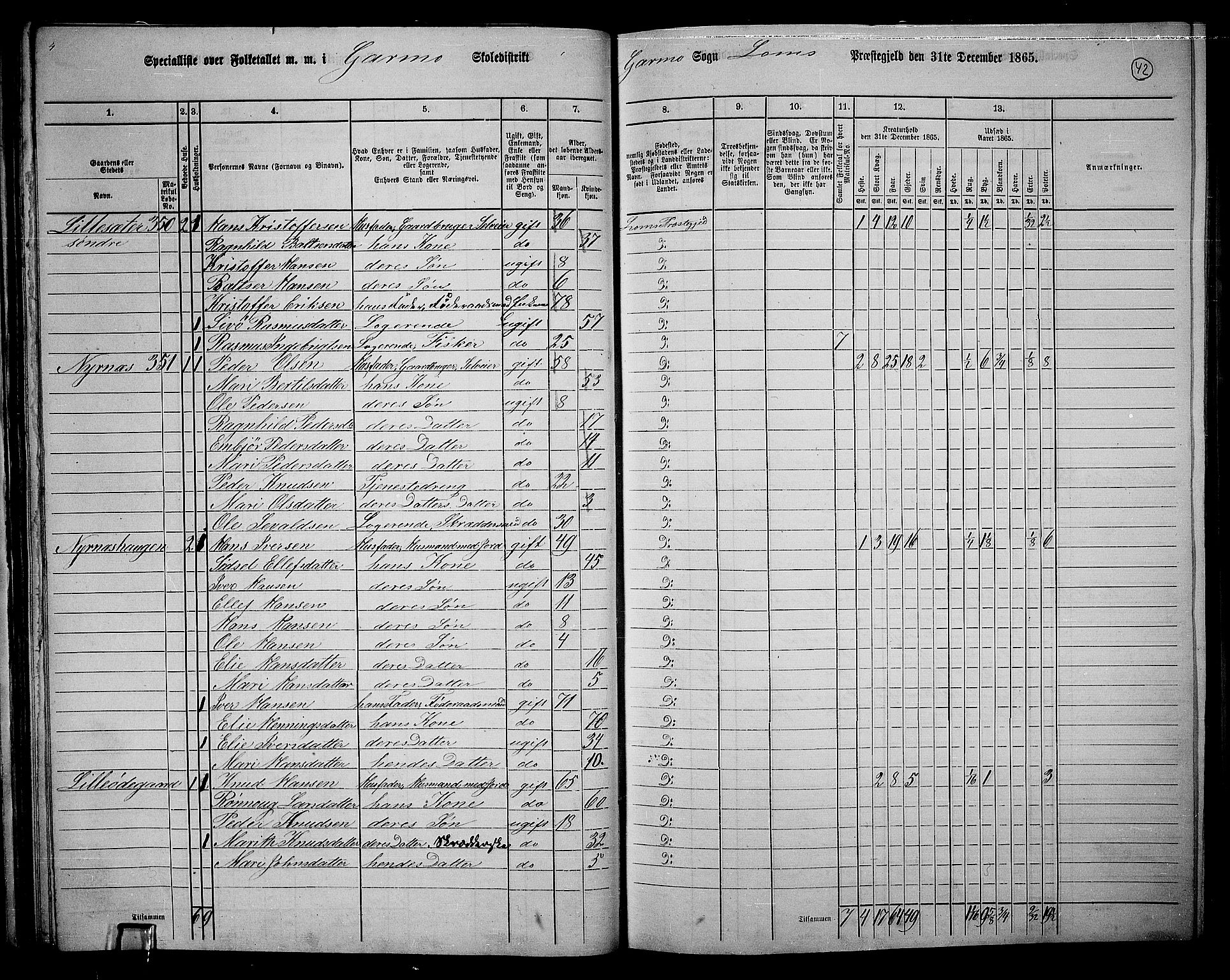 RA, 1865 census for Lom, 1865, p. 40