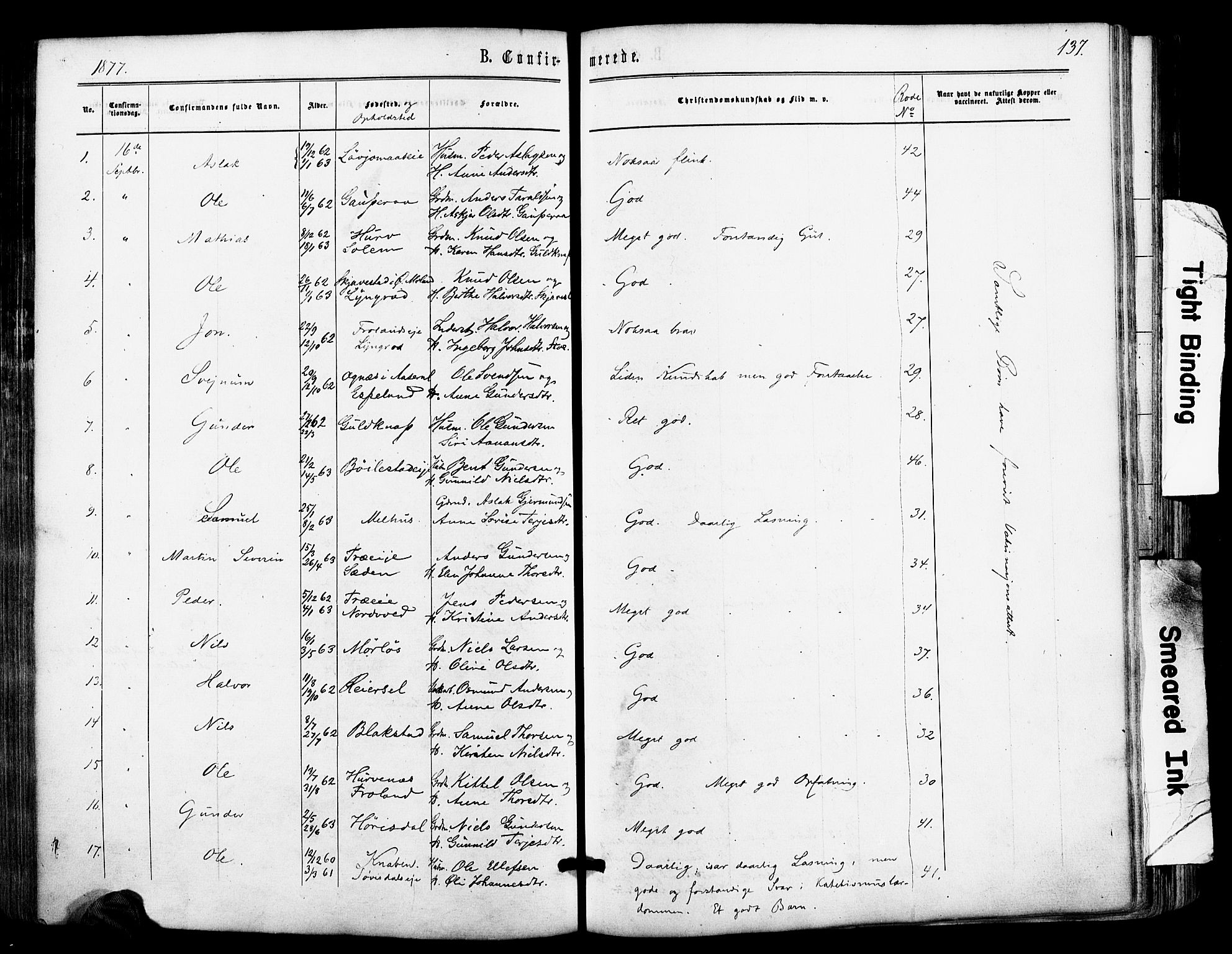 Froland sokneprestkontor, SAK/1111-0013/F/Fa/L0003: Parish register (official) no. A 3, 1864-1881, p. 137