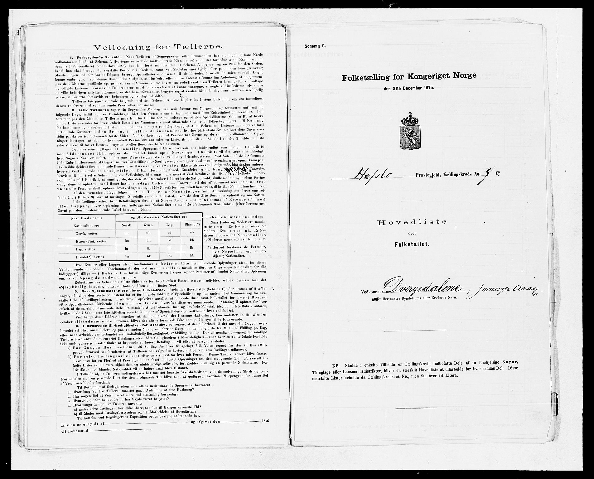 SAB, 1875 census for 1425P Hafslo, 1875, p. 20