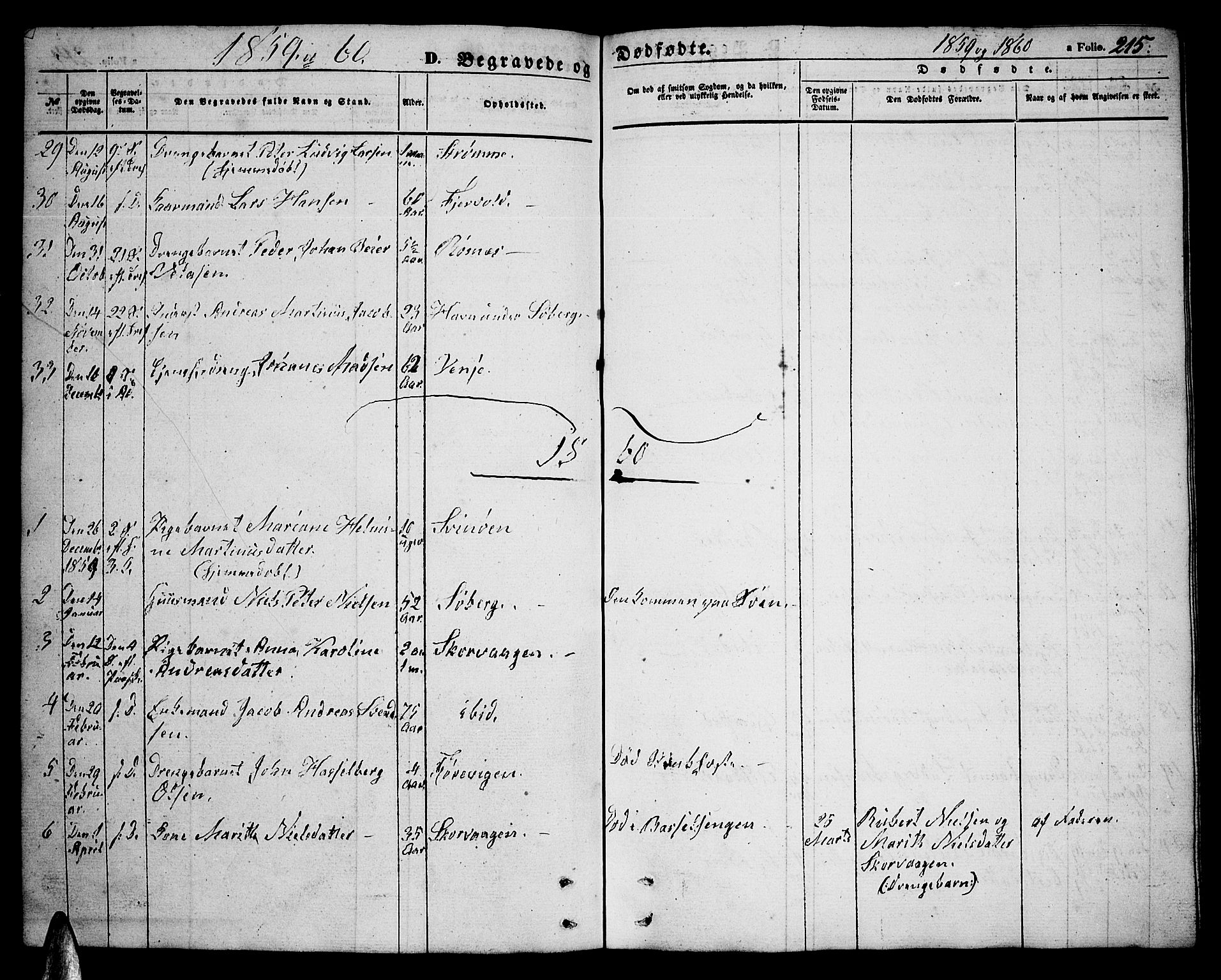 Ministerialprotokoller, klokkerbøker og fødselsregistre - Nordland, AV/SAT-A-1459/891/L1313: Parish register (copy) no. 891C02, 1856-1870, p. 215