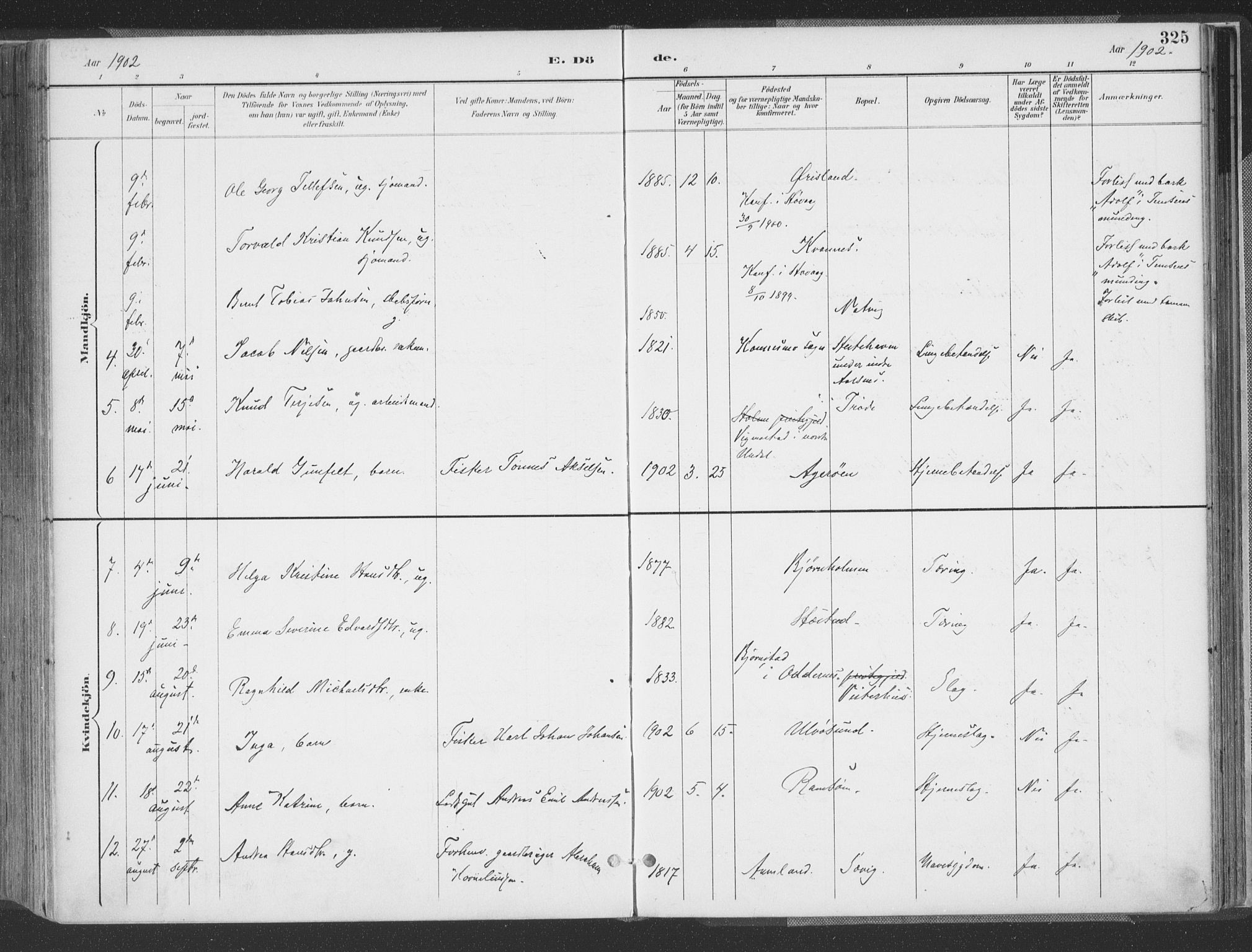 Høvåg sokneprestkontor, AV/SAK-1111-0025/F/Fa/L0006: Parish register (official) no. A 6, 1894-1923, p. 325