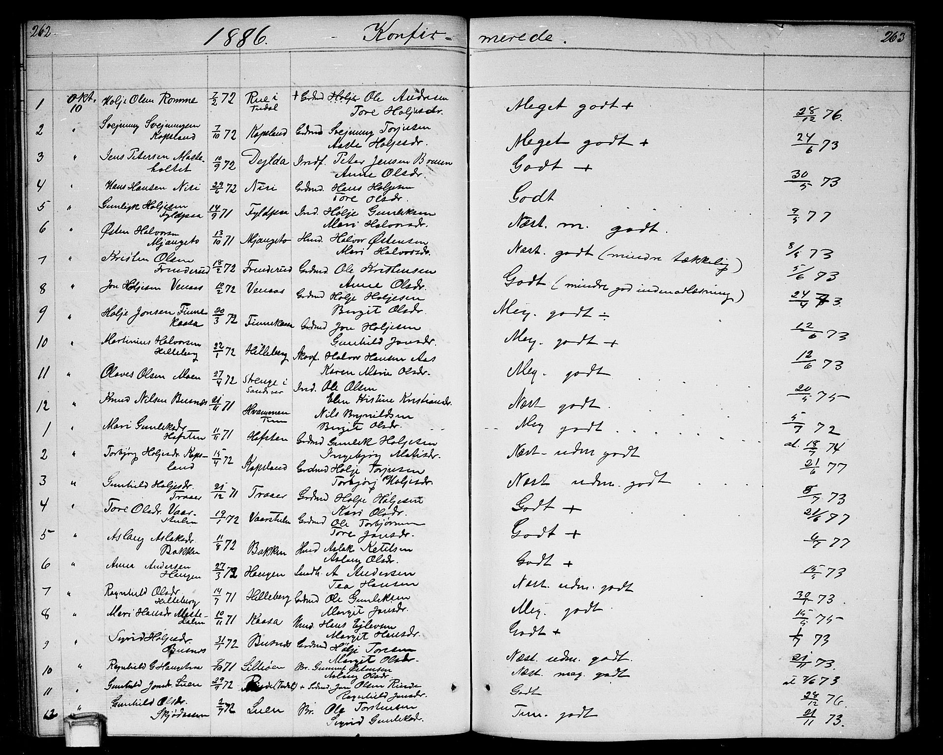 Gransherad kirkebøker, SAKO/A-267/G/Ga/L0002: Parish register (copy) no. I 2, 1854-1886, p. 262-263