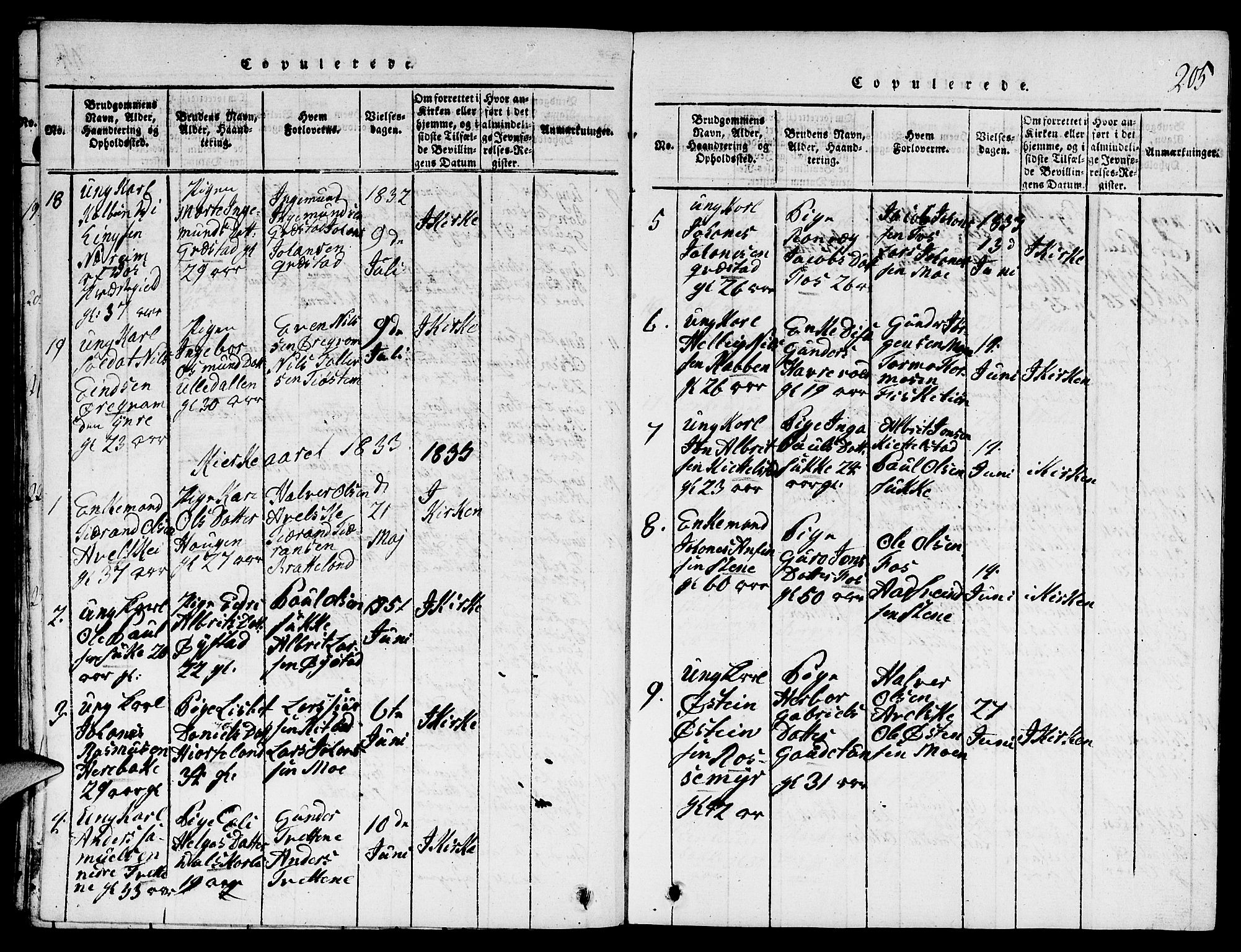 Suldal sokneprestkontor, SAST/A-101845/01/V/L0001: Parish register (copy) no. B 1, 1816-1836, p. 205