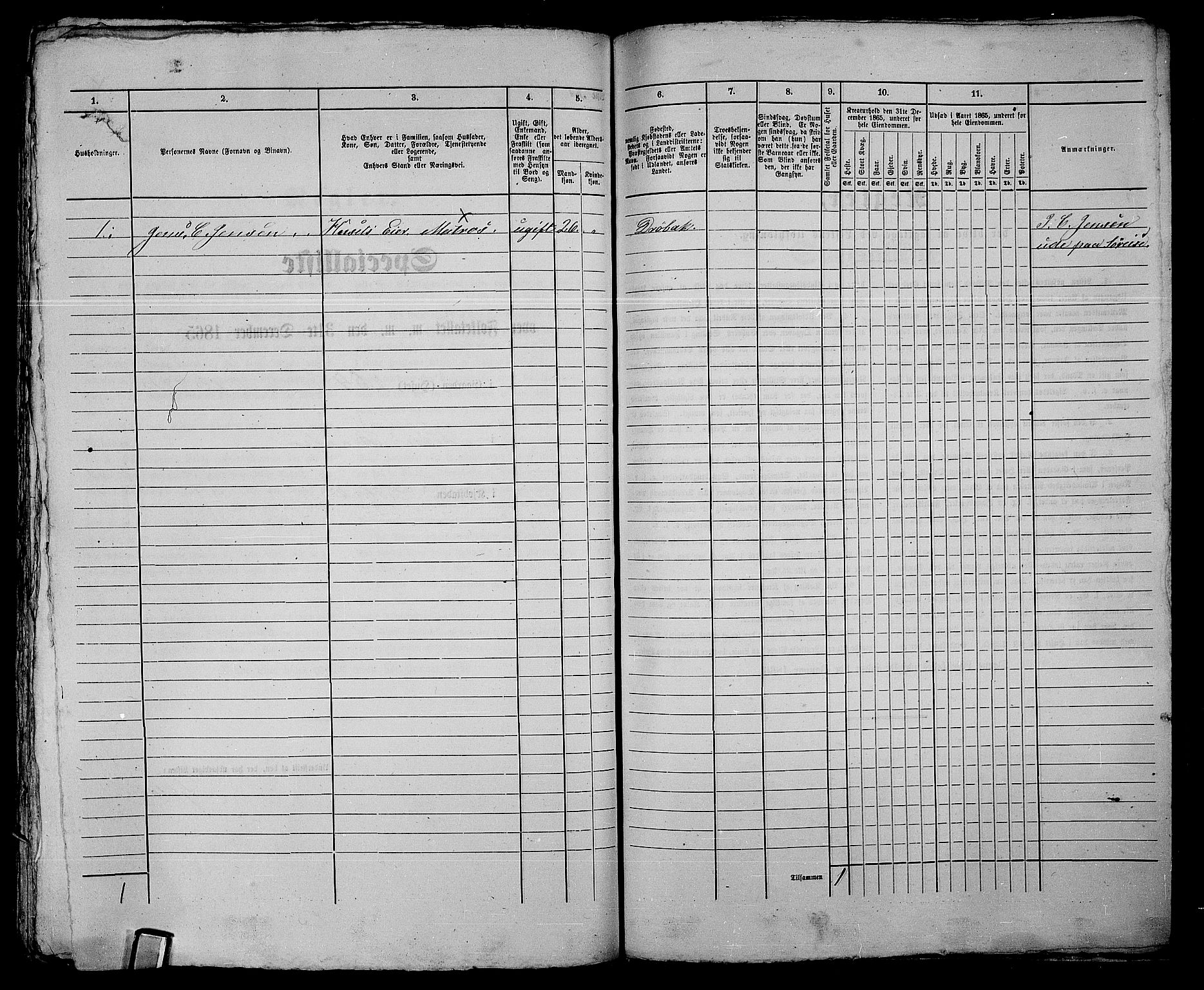 RA, 1865 census for Drøbak/Drøbak, 1865, p. 450