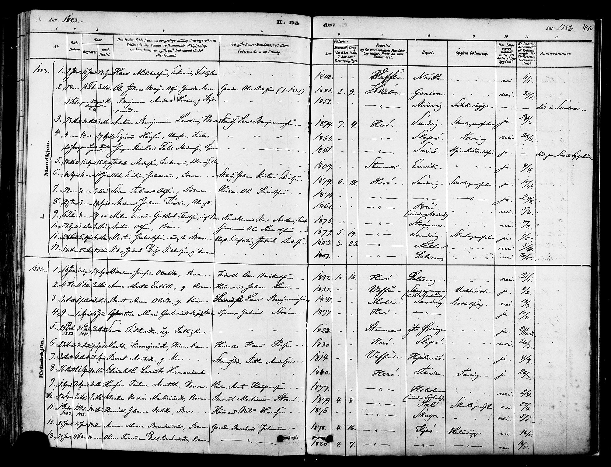 Ministerialprotokoller, klokkerbøker og fødselsregistre - Nordland, AV/SAT-A-1459/834/L0507: Parish register (official) no. 834A05, 1878-1892, p. 432