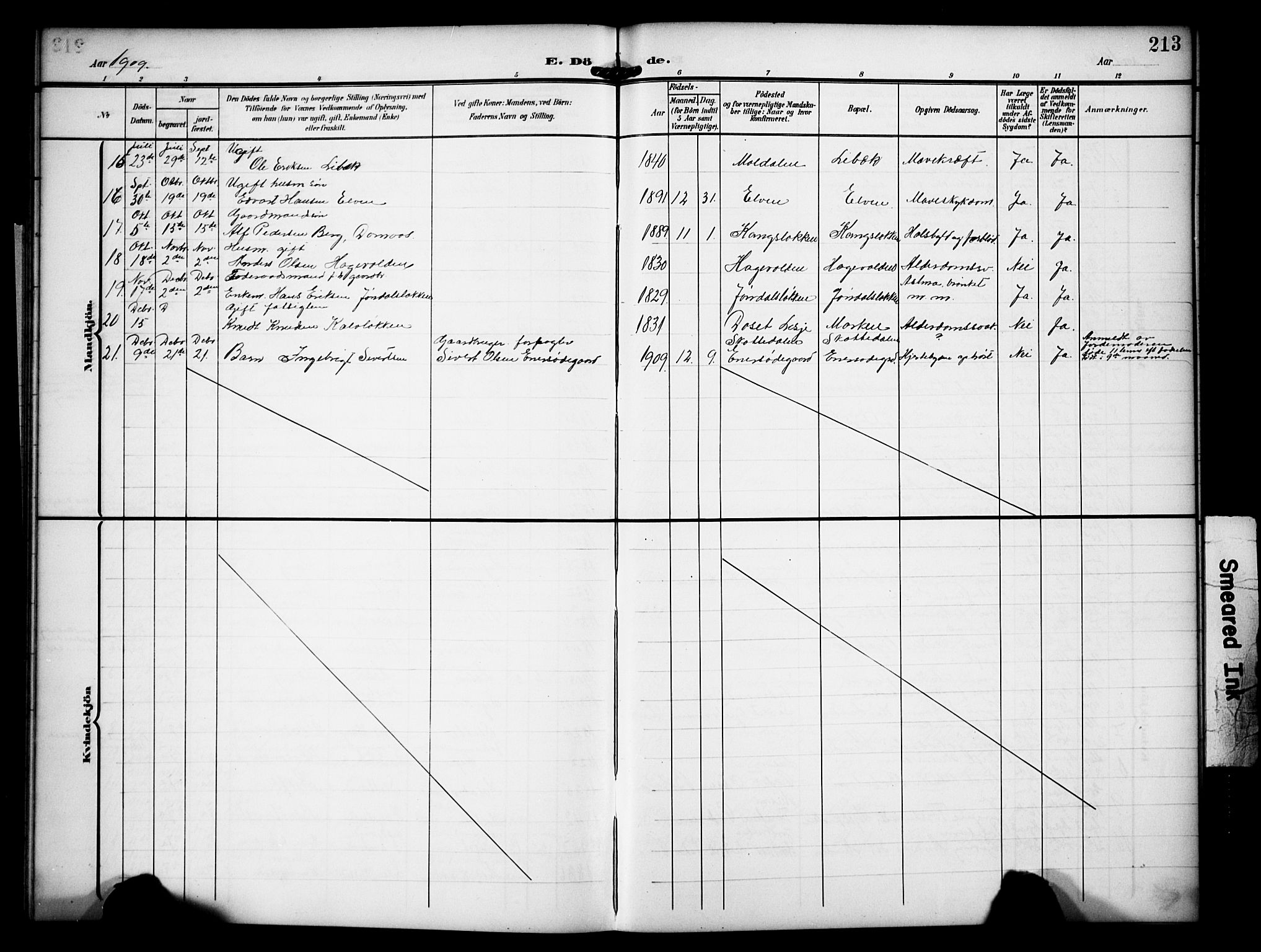 Dovre prestekontor, AV/SAH-PREST-066/H/Ha/Hab/L0003: Parish register (copy) no. 3, 1907-1929, p. 213