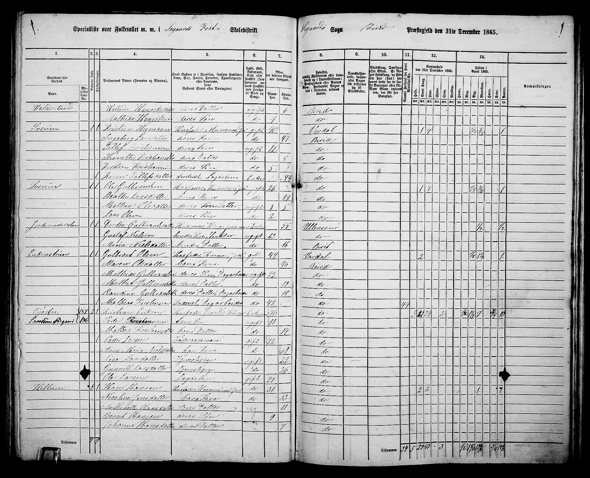 RA, 1865 census for Biri, 1865, p. 174