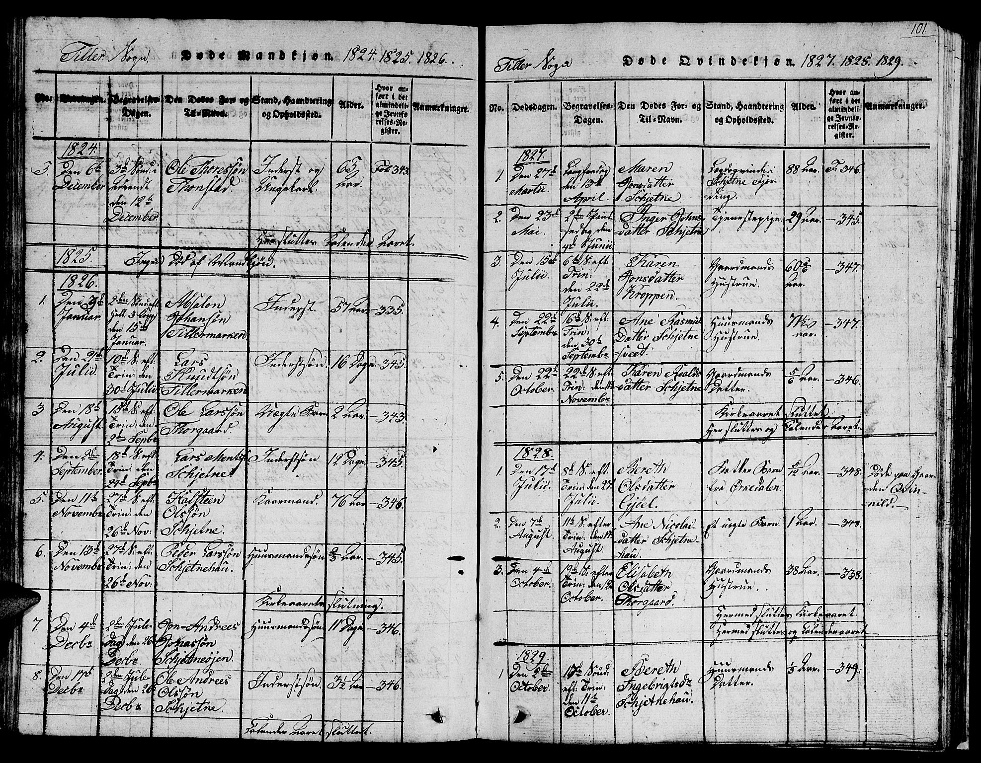 Ministerialprotokoller, klokkerbøker og fødselsregistre - Sør-Trøndelag, SAT/A-1456/621/L0458: Parish register (copy) no. 621C01, 1816-1865, p. 101