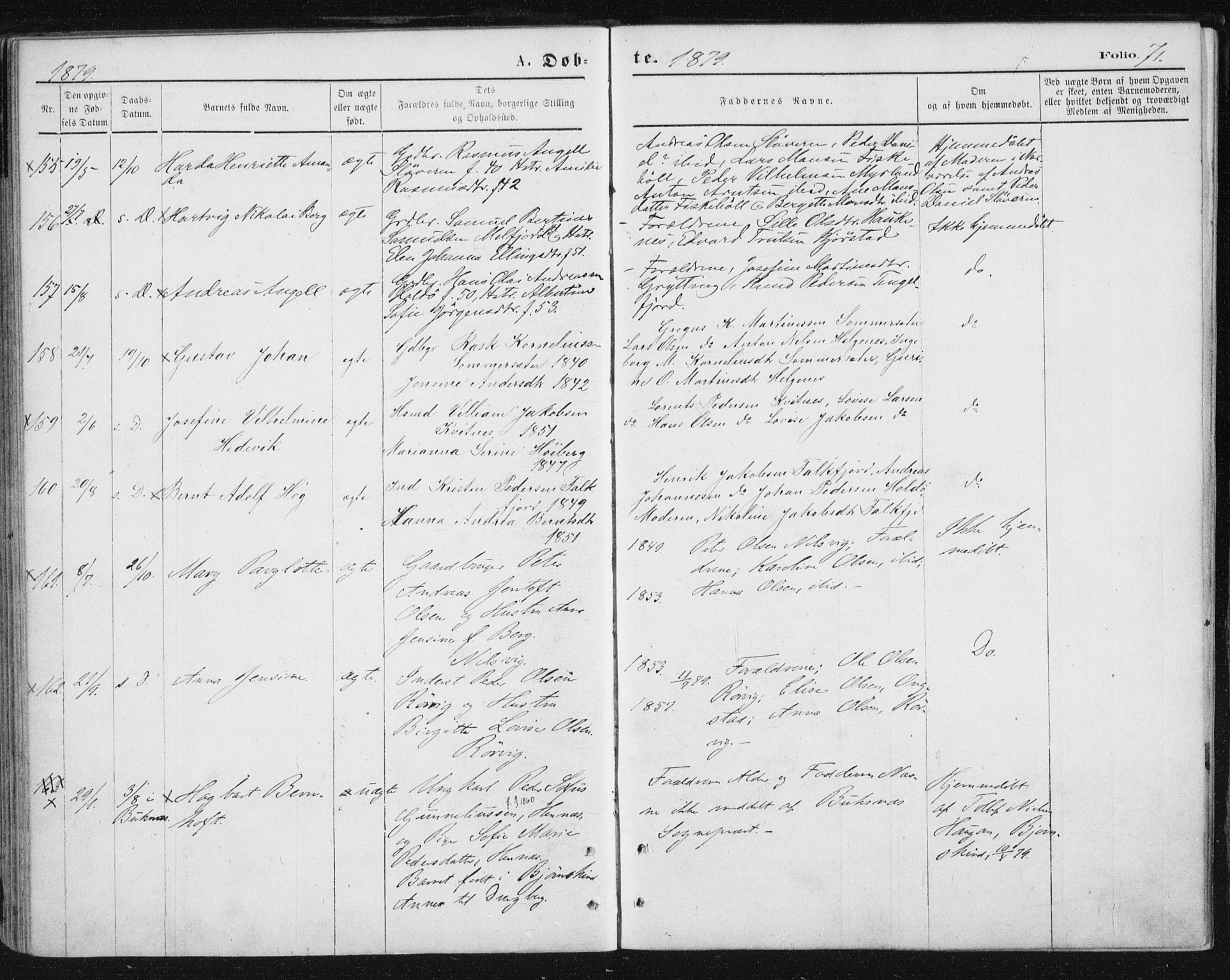 Ministerialprotokoller, klokkerbøker og fødselsregistre - Nordland, AV/SAT-A-1459/888/L1243: Parish register (official) no. 888A09, 1876-1879, p. 71