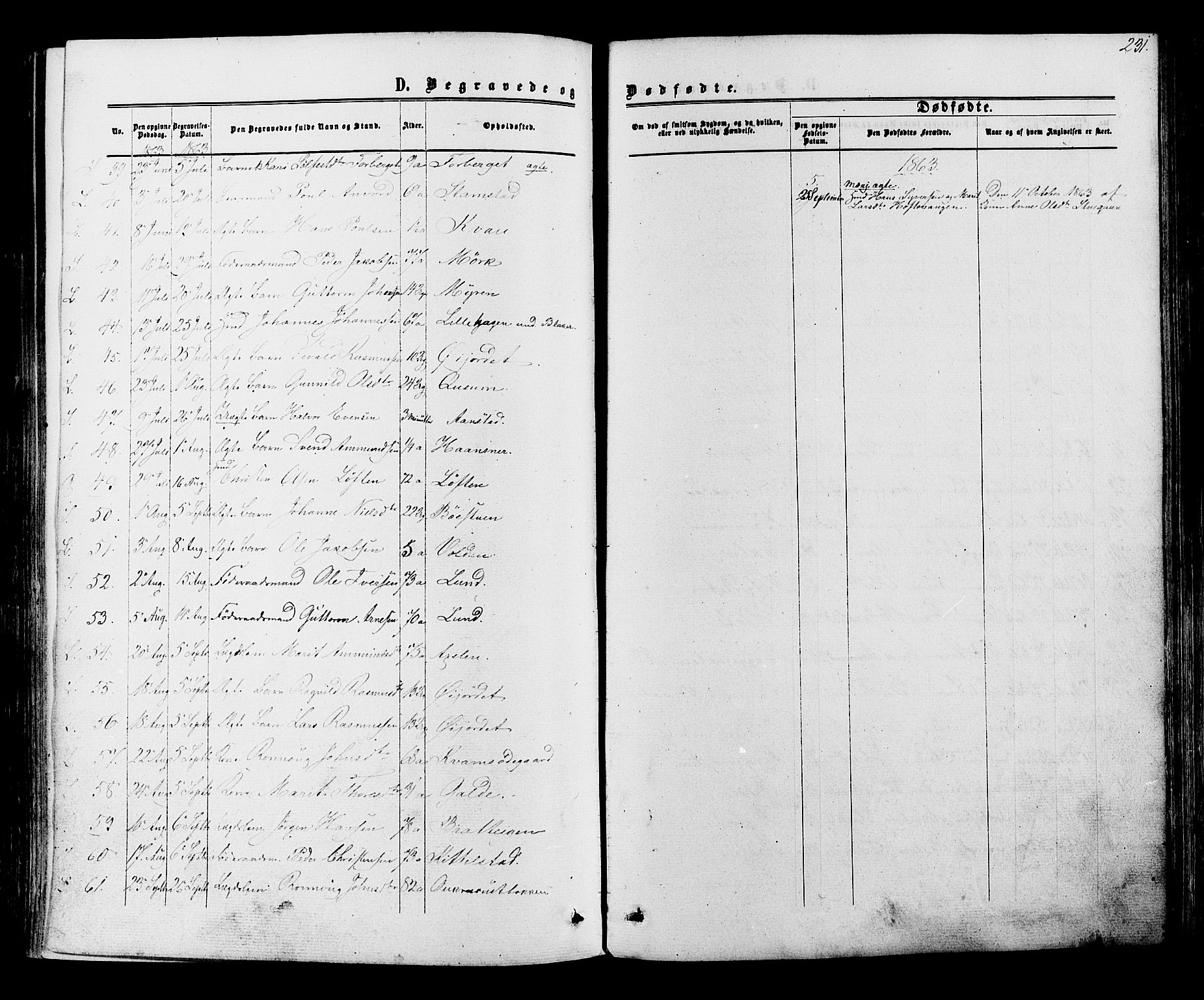 Lom prestekontor, AV/SAH-PREST-070/K/L0007: Parish register (official) no. 7, 1863-1884, p. 231