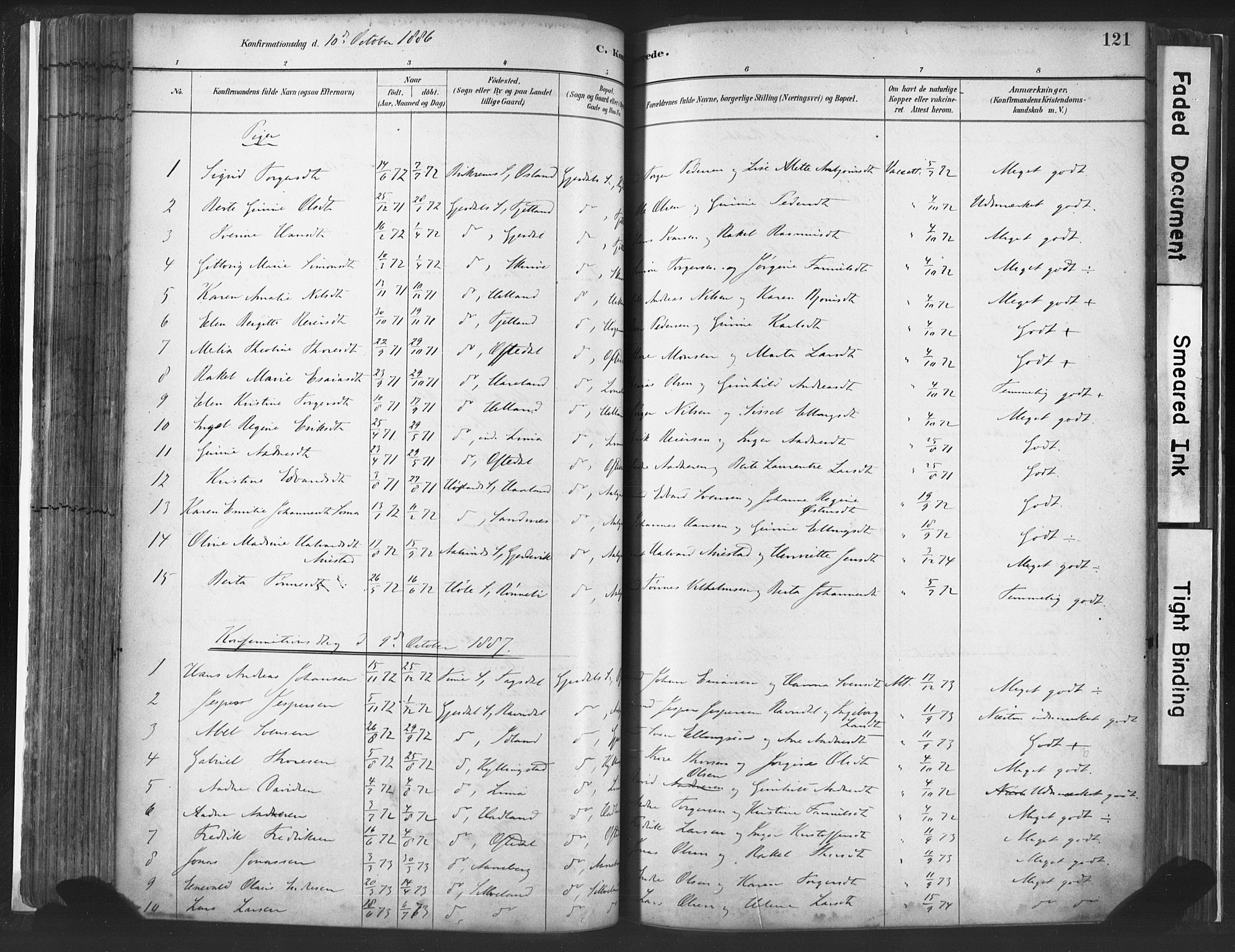 Lye sokneprestkontor, SAST/A-101794/001/30BA/L0010: Parish register (official) no. A 10, 1881-1896, p. 121