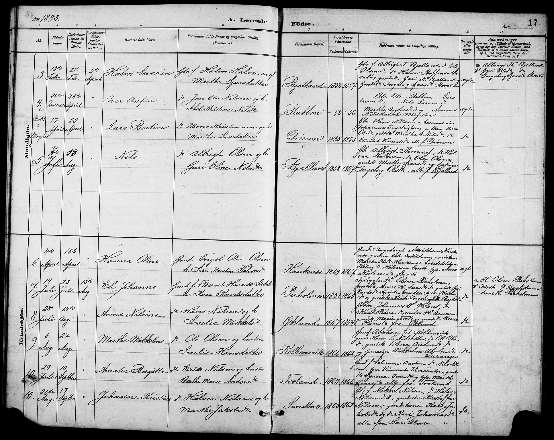 Austevoll sokneprestembete, AV/SAB-A-74201/H/Ha/Hab/Haba/L0003: Parish register (copy) no. A 3, 1889-1900, p. 17