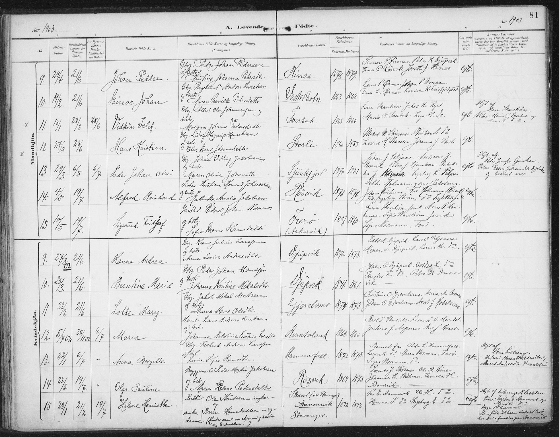 Ministerialprotokoller, klokkerbøker og fødselsregistre - Nordland, SAT/A-1459/854/L0779: Parish register (official) no. 854A02, 1892-1909, p. 81