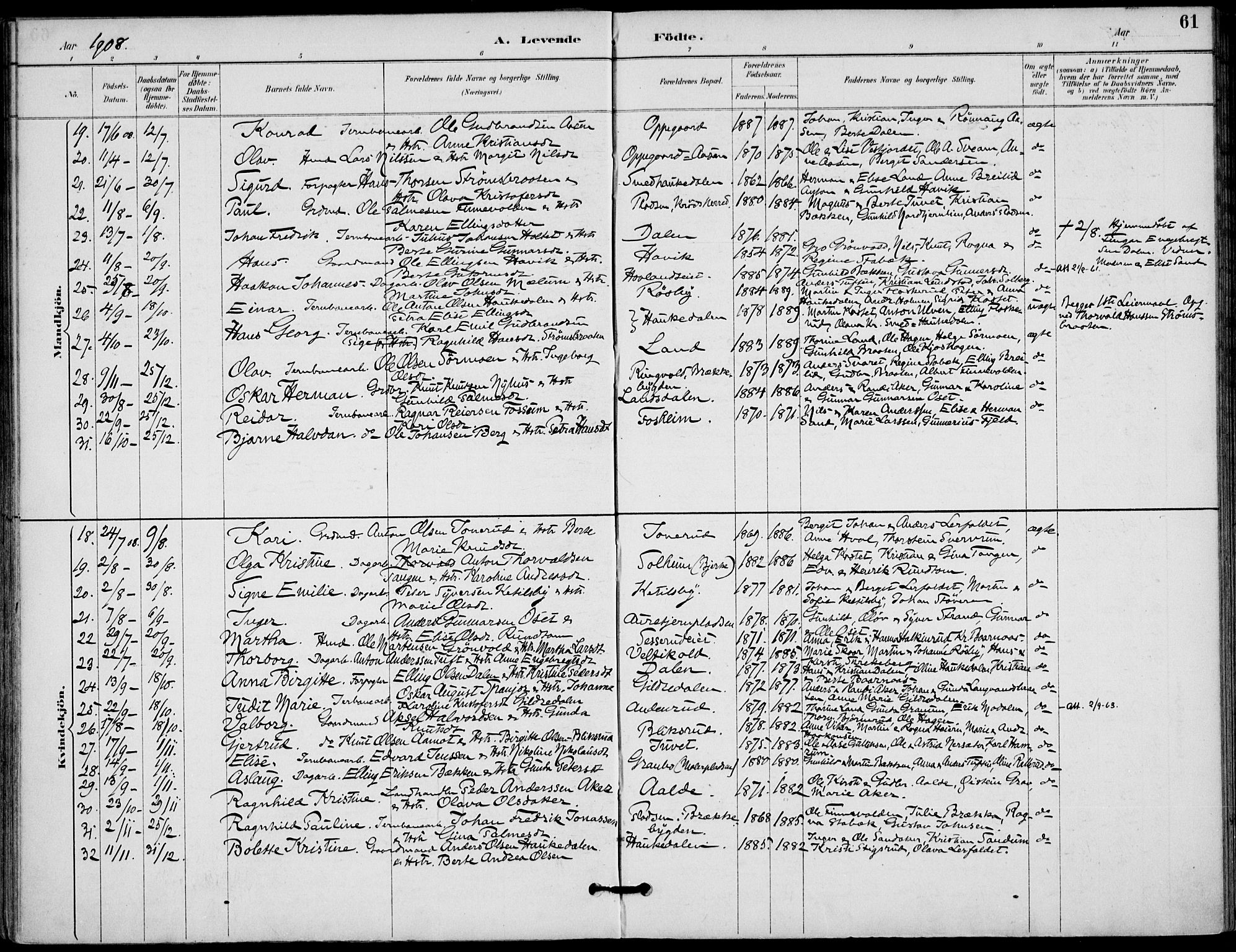 Lunder kirkebøker, AV/SAKO-A-629/F/Fa/L0001: Parish register (official) no. I 1, 1885-1912, p. 61