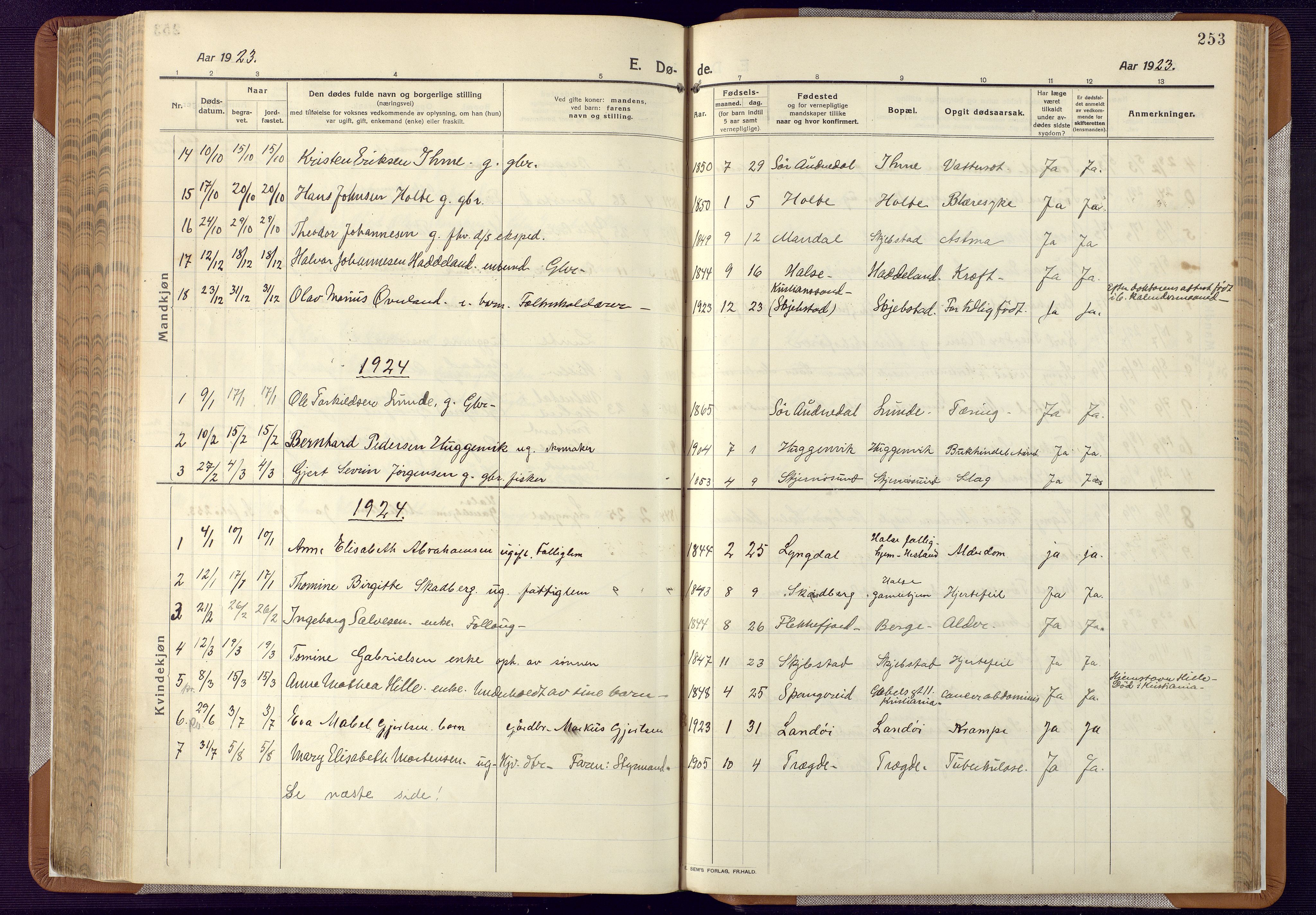 Mandal sokneprestkontor, SAK/1111-0030/F/Fa/Faa/L0022: Parish register (official) no. A 22, 1913-1925, p. 253