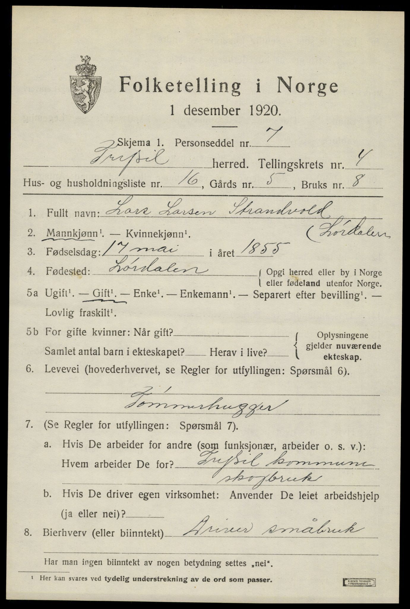 SAH, 1920 census for Trysil, 1920, p. 4303