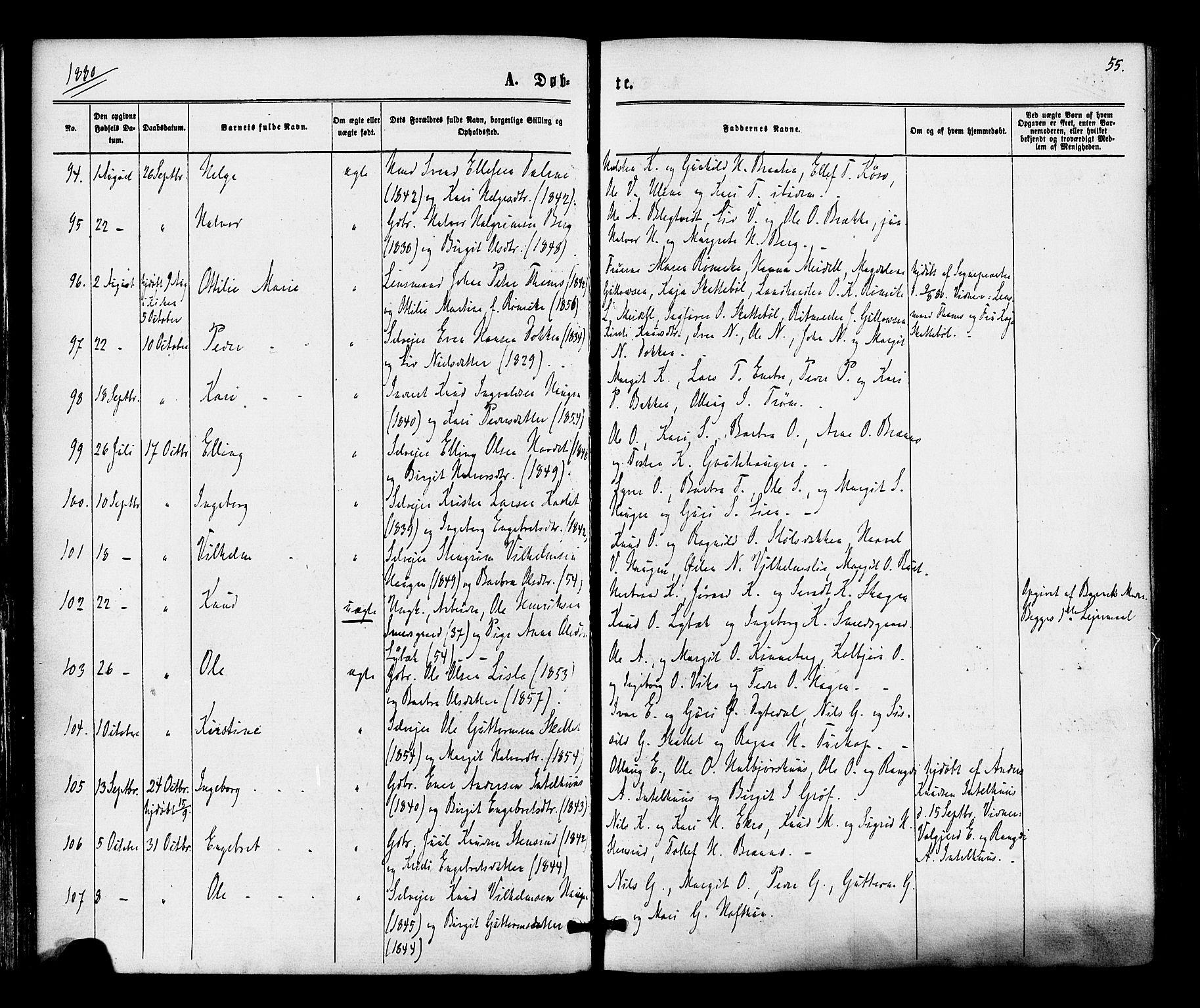 Gol kirkebøker, SAKO/A-226/F/Fa/L0004: Parish register (official) no. I 4, 1876-1886, p. 55