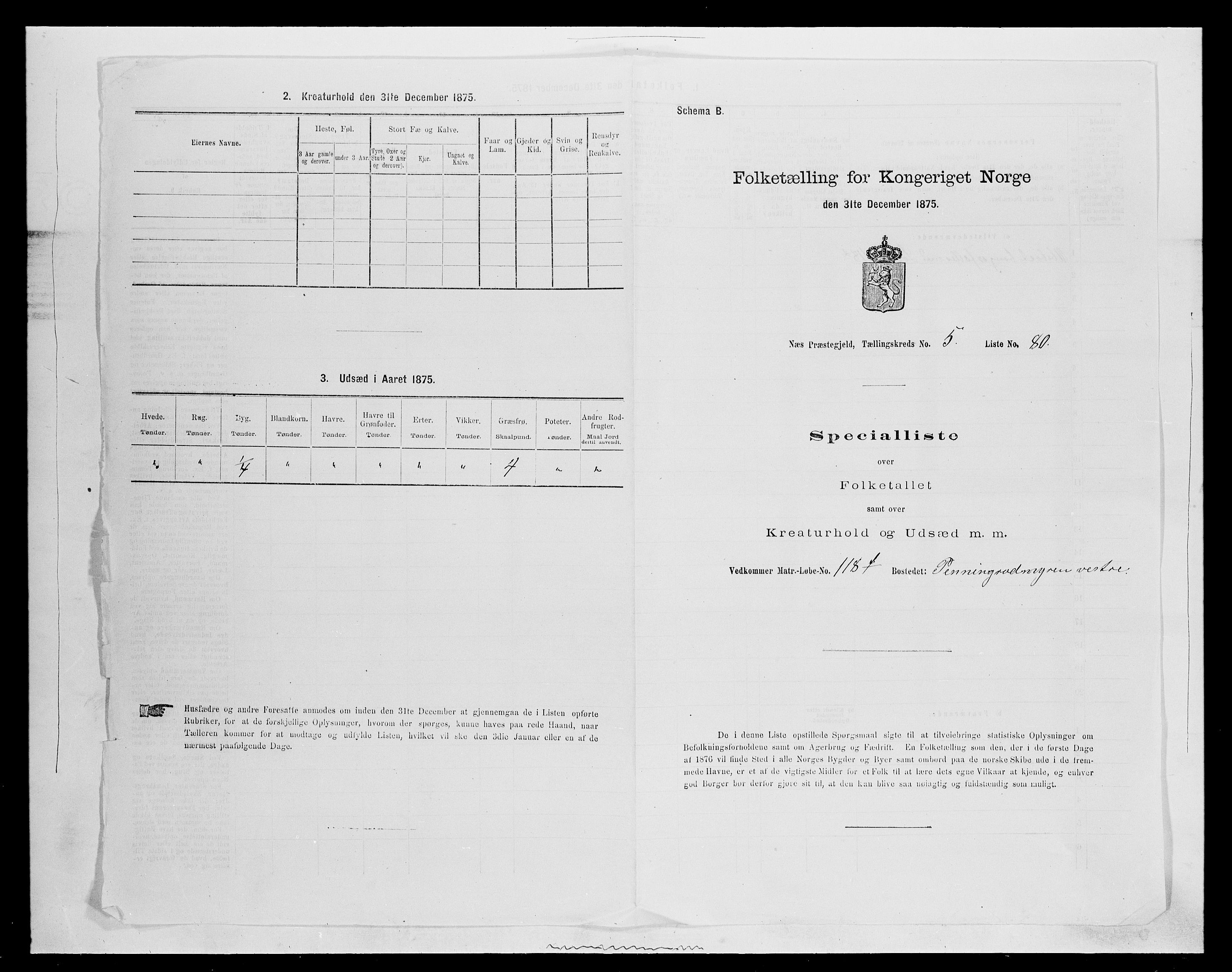 SAH, 1875 census for 0411P Nes, 1875, p. 945