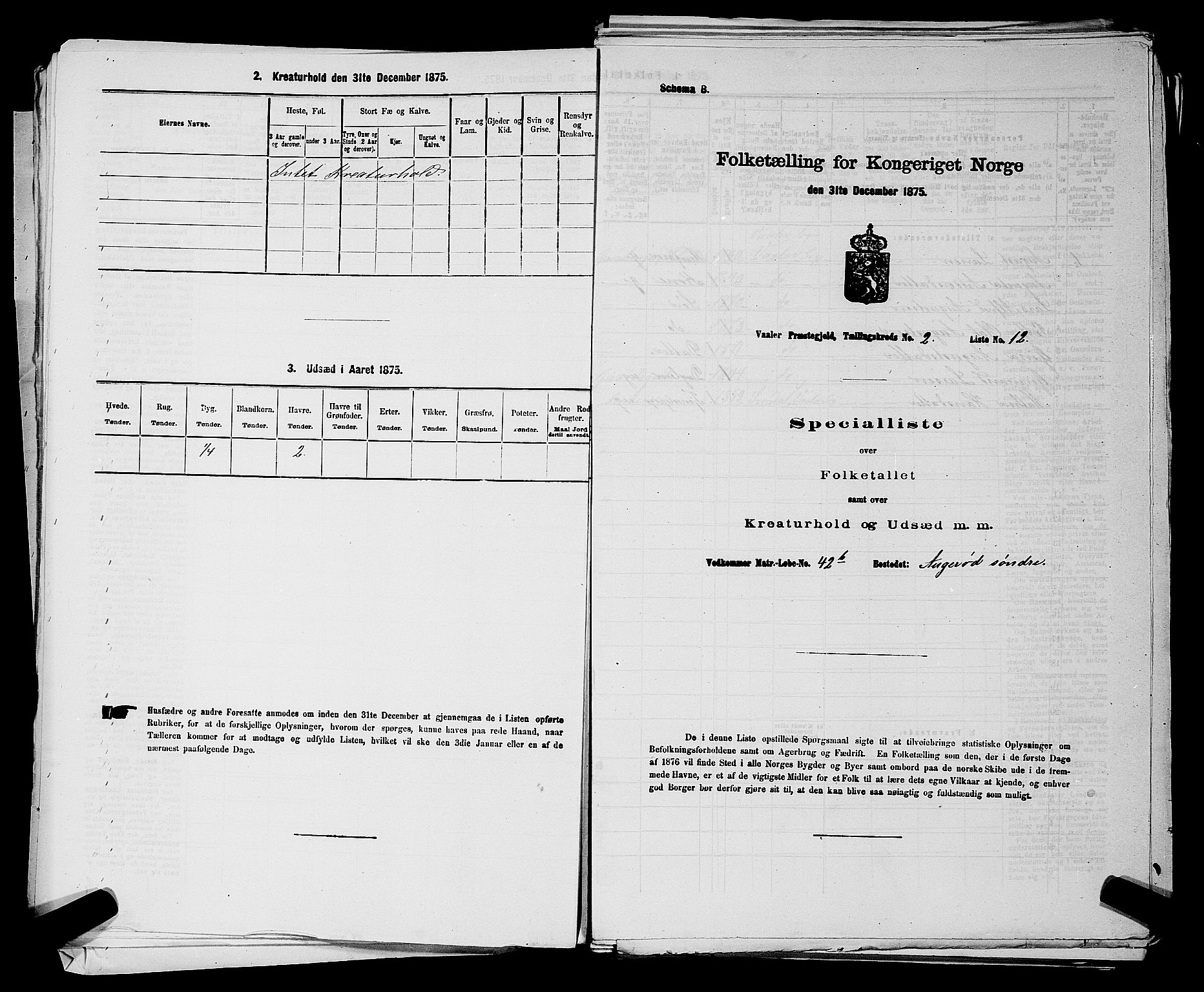 RA, 1875 census for 0137P Våler, 1875, p. 249