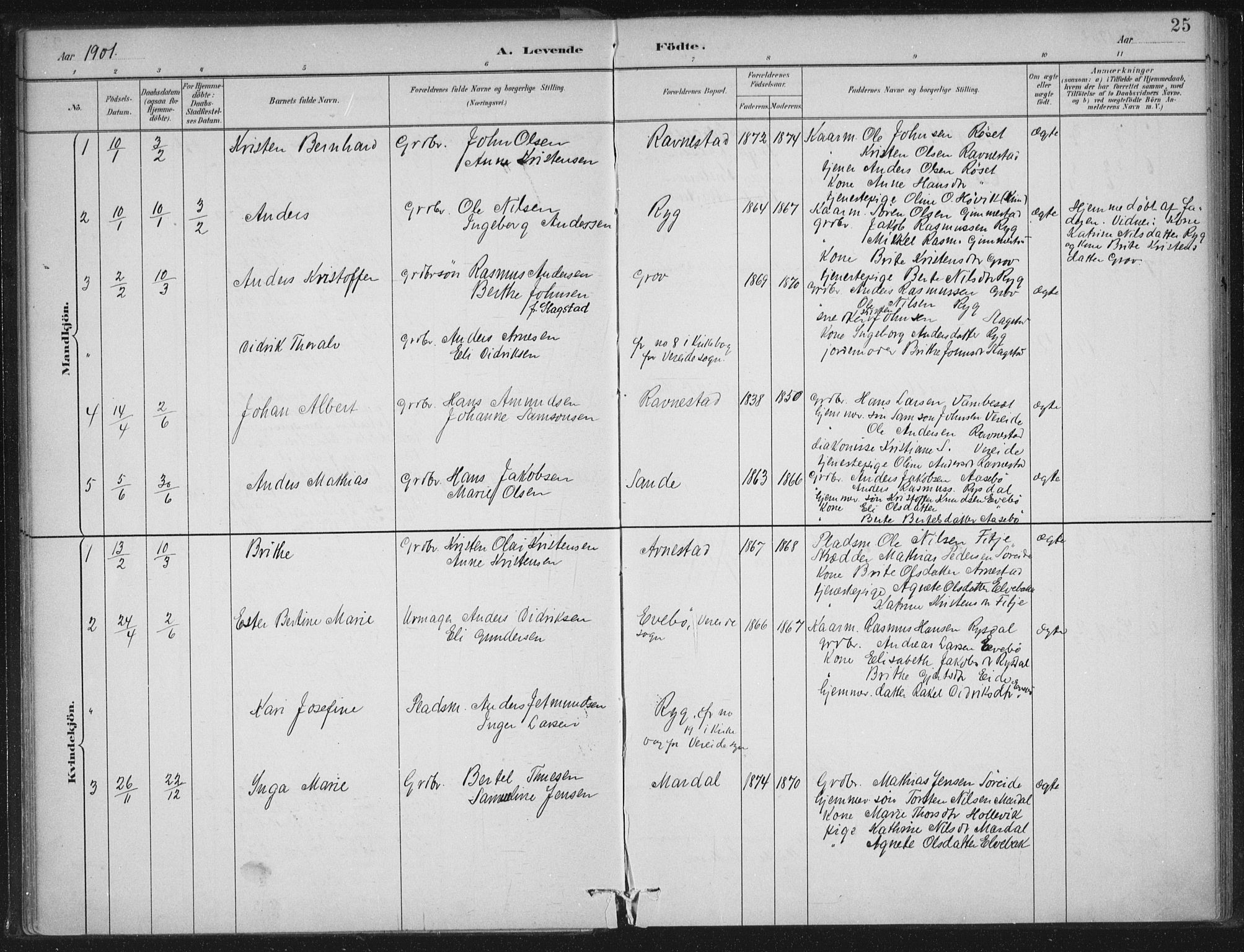 Gloppen sokneprestembete, SAB/A-80101/H/Haa/Haad/L0001: Parish register (official) no. D  1, 1885-1910, p. 25