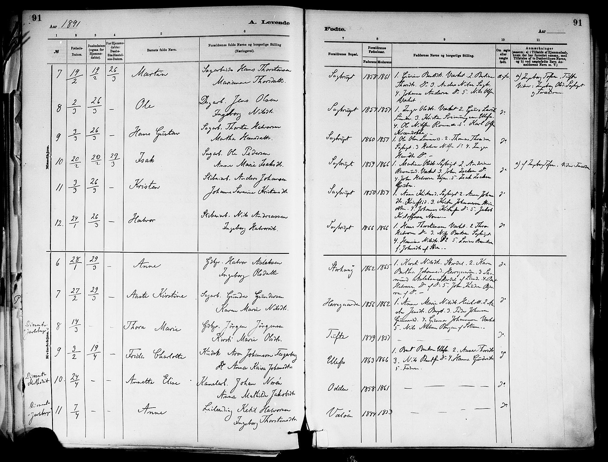 Holla kirkebøker, SAKO/A-272/F/Fa/L0008: Parish register (official) no. 8, 1882-1897, p. 91