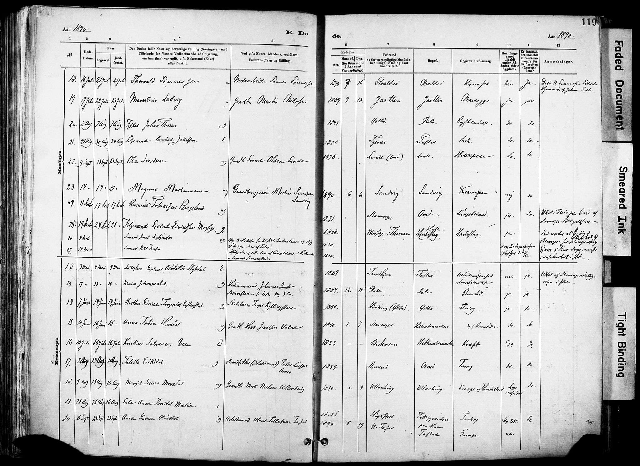 Hetland sokneprestkontor, AV/SAST-A-101826/30/30BA/L0012: Parish register (official) no. A 12, 1882-1912, p. 119