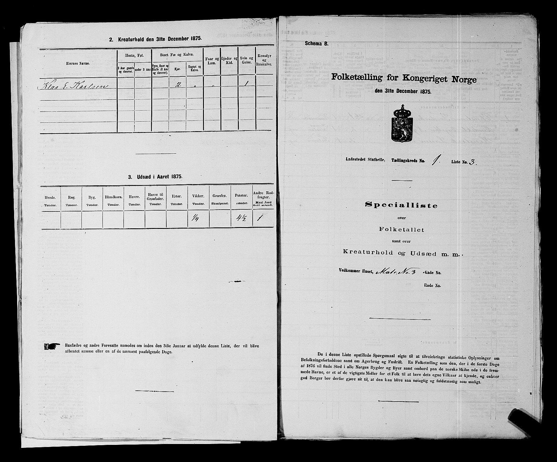 SAKO, 1875 census for 0803B Bamble/Stathelle, 1875, p. 12