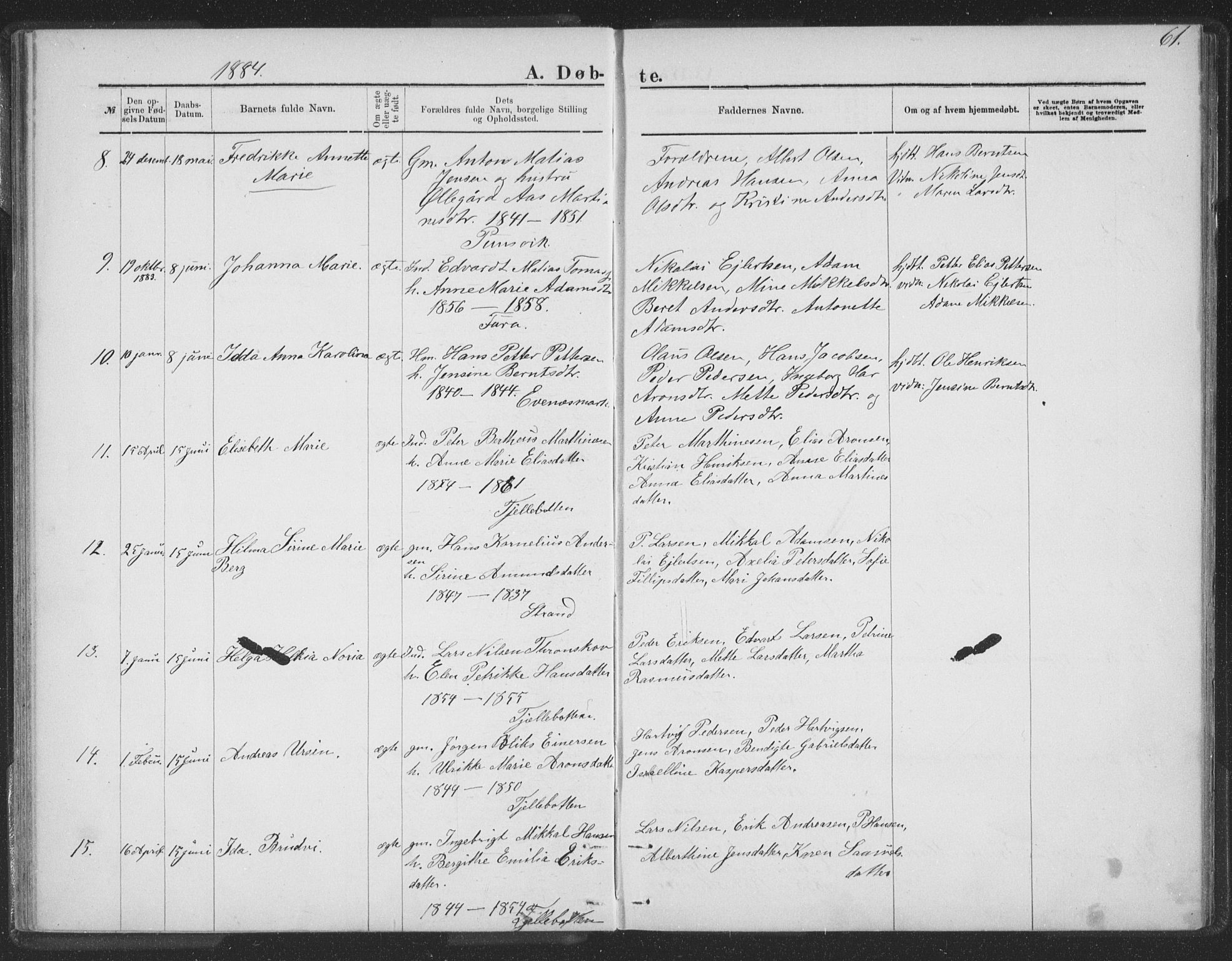 Ministerialprotokoller, klokkerbøker og fødselsregistre - Nordland, AV/SAT-A-1459/863/L0913: Parish register (copy) no. 863C03, 1877-1885, p. 61