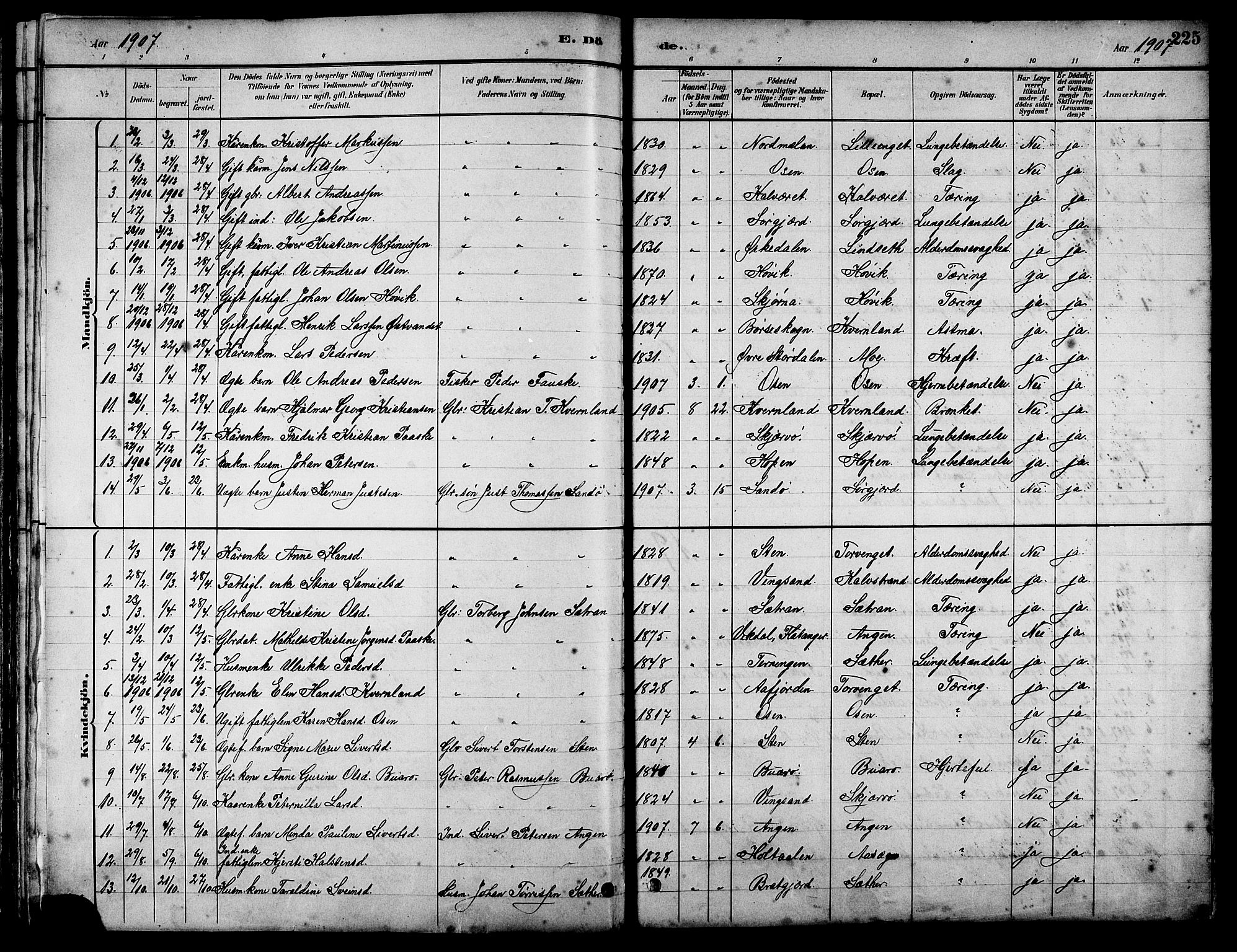 Ministerialprotokoller, klokkerbøker og fødselsregistre - Sør-Trøndelag, AV/SAT-A-1456/658/L0726: Parish register (copy) no. 658C02, 1883-1908, p. 225