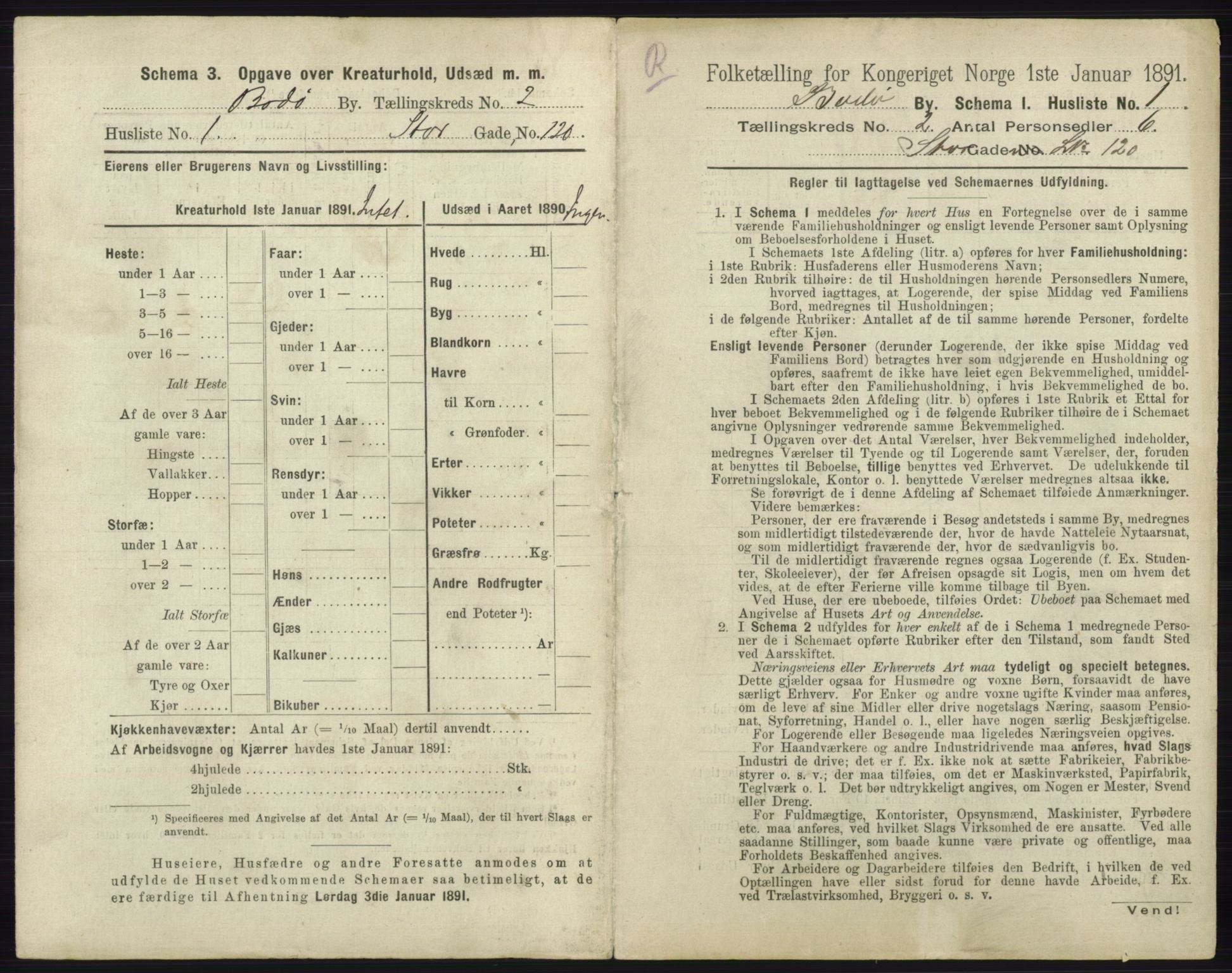 RA, 1891 census for 1804 Bodø, 1891, p. 850