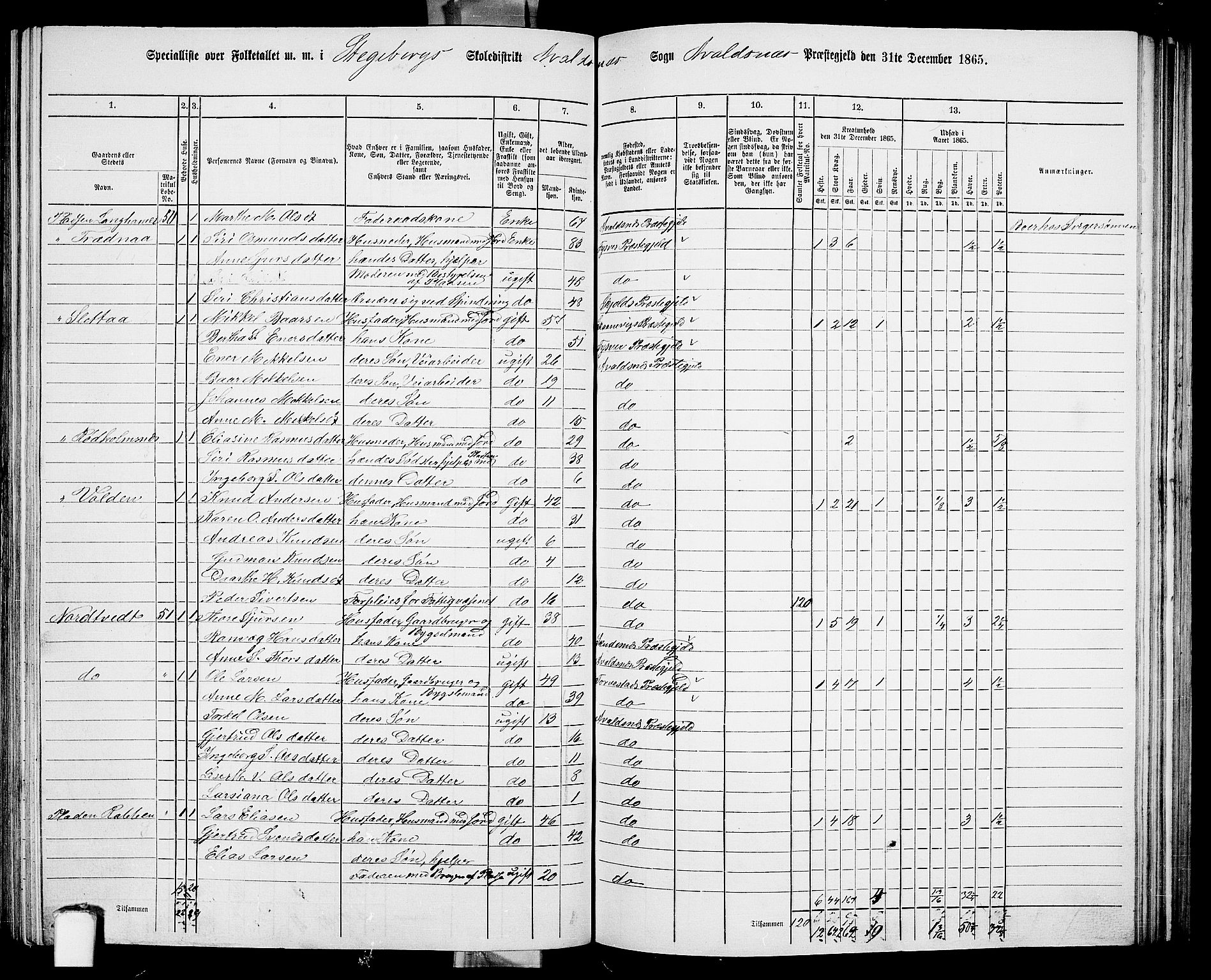 RA, 1865 census for Avaldsnes, 1865, p. 171
