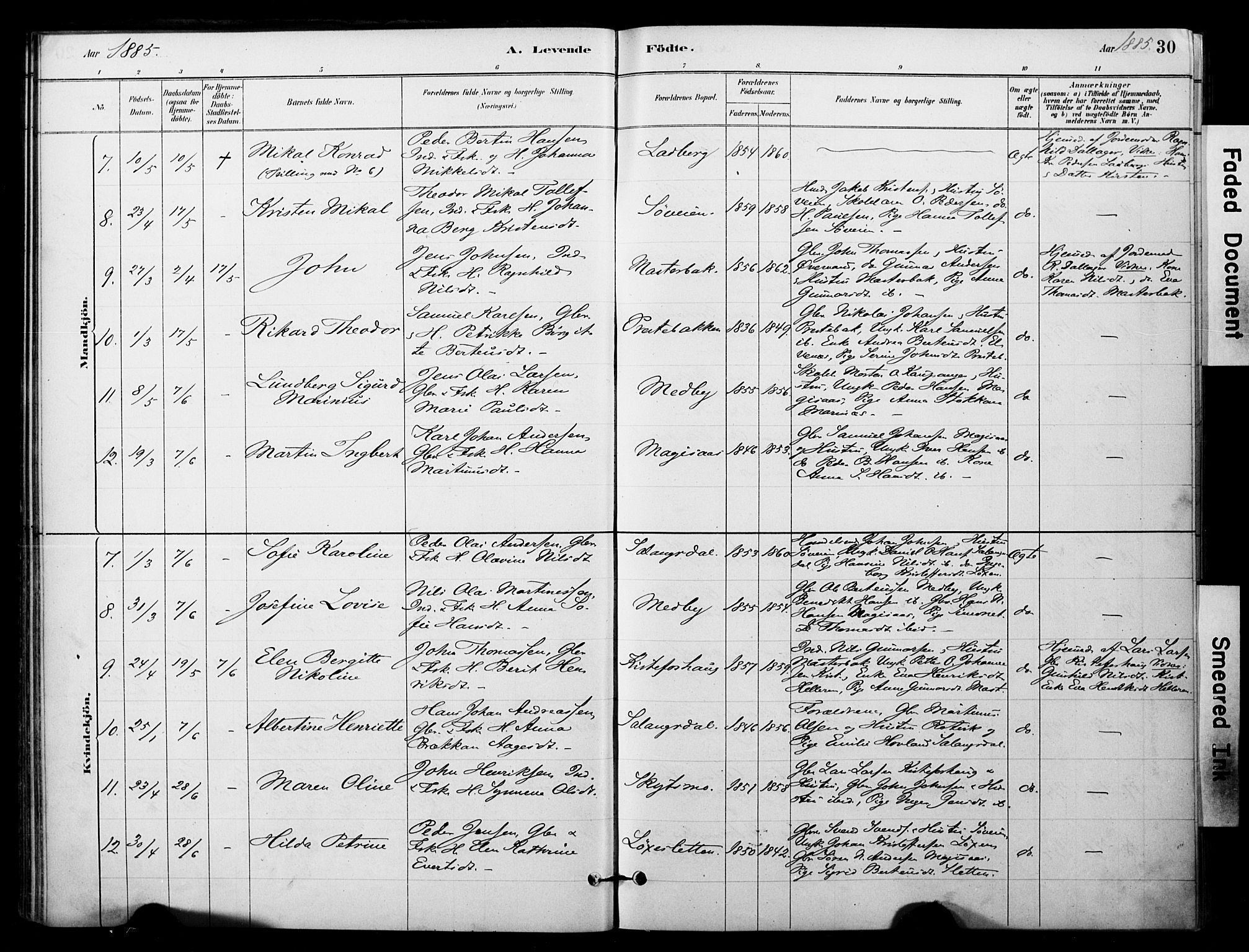 Ibestad sokneprestembete, AV/SATØ-S-0077/H/Ha/Haa/L0014kirke: Parish register (official) no. 14, 1880-1887, p. 30