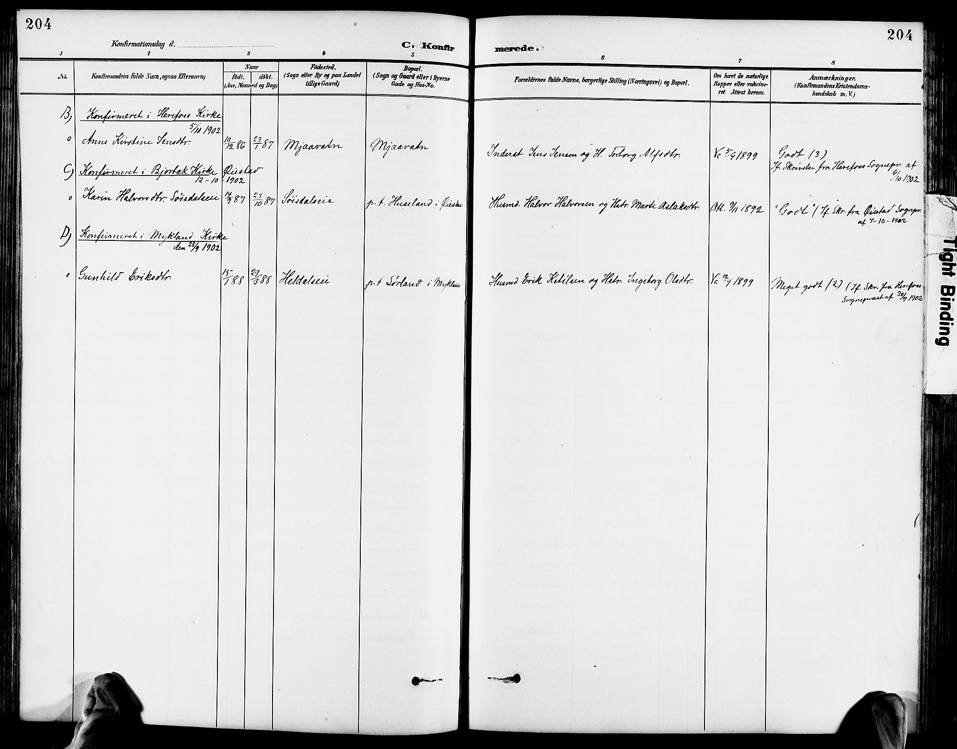 Froland sokneprestkontor, SAK/1111-0013/F/Fb/L0010: Parish register (copy) no. B 10, 1893-1920, p. 204