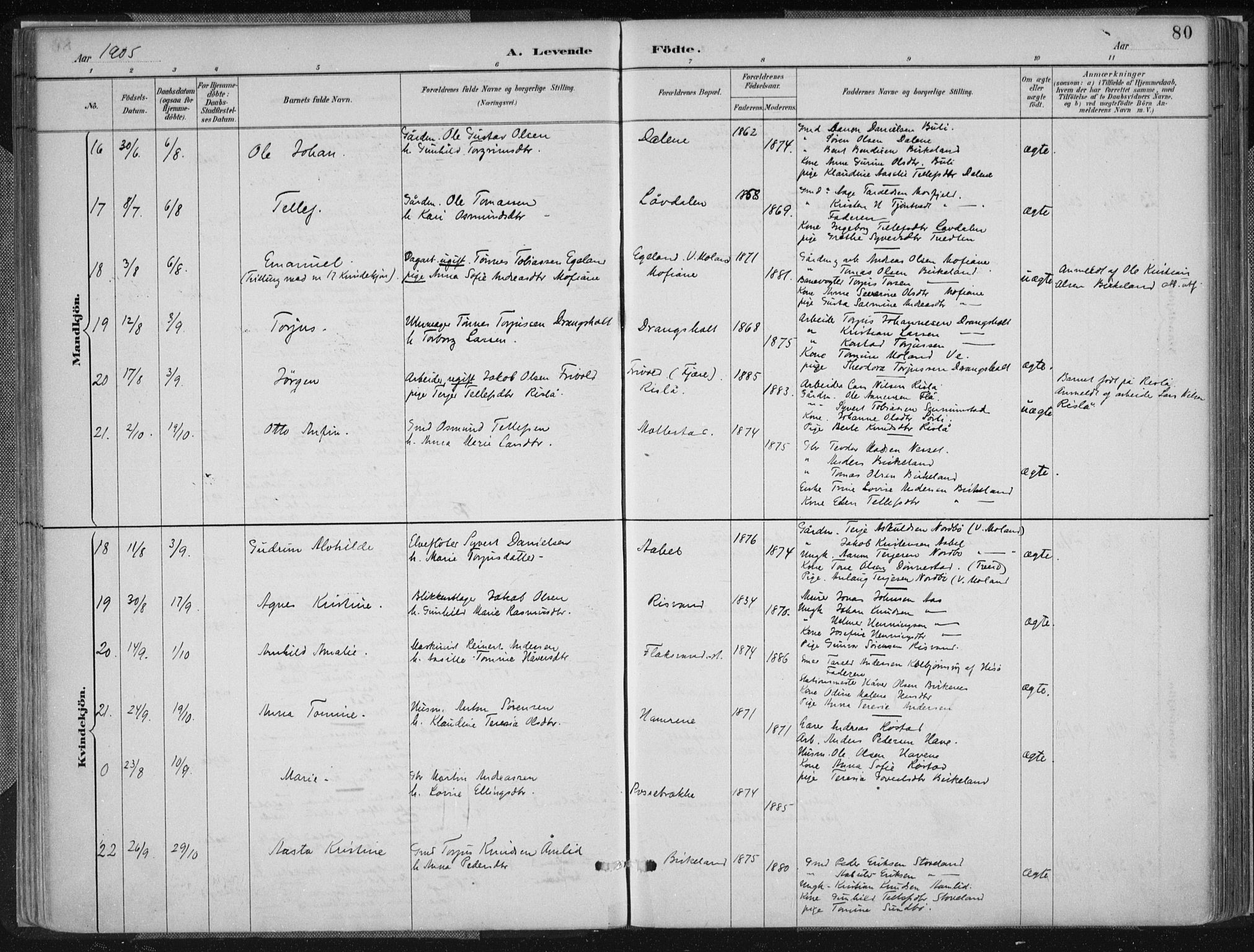 Birkenes sokneprestkontor, AV/SAK-1111-0004/F/Fa/L0005: Parish register (official) no. A 5, 1887-1907, p. 80