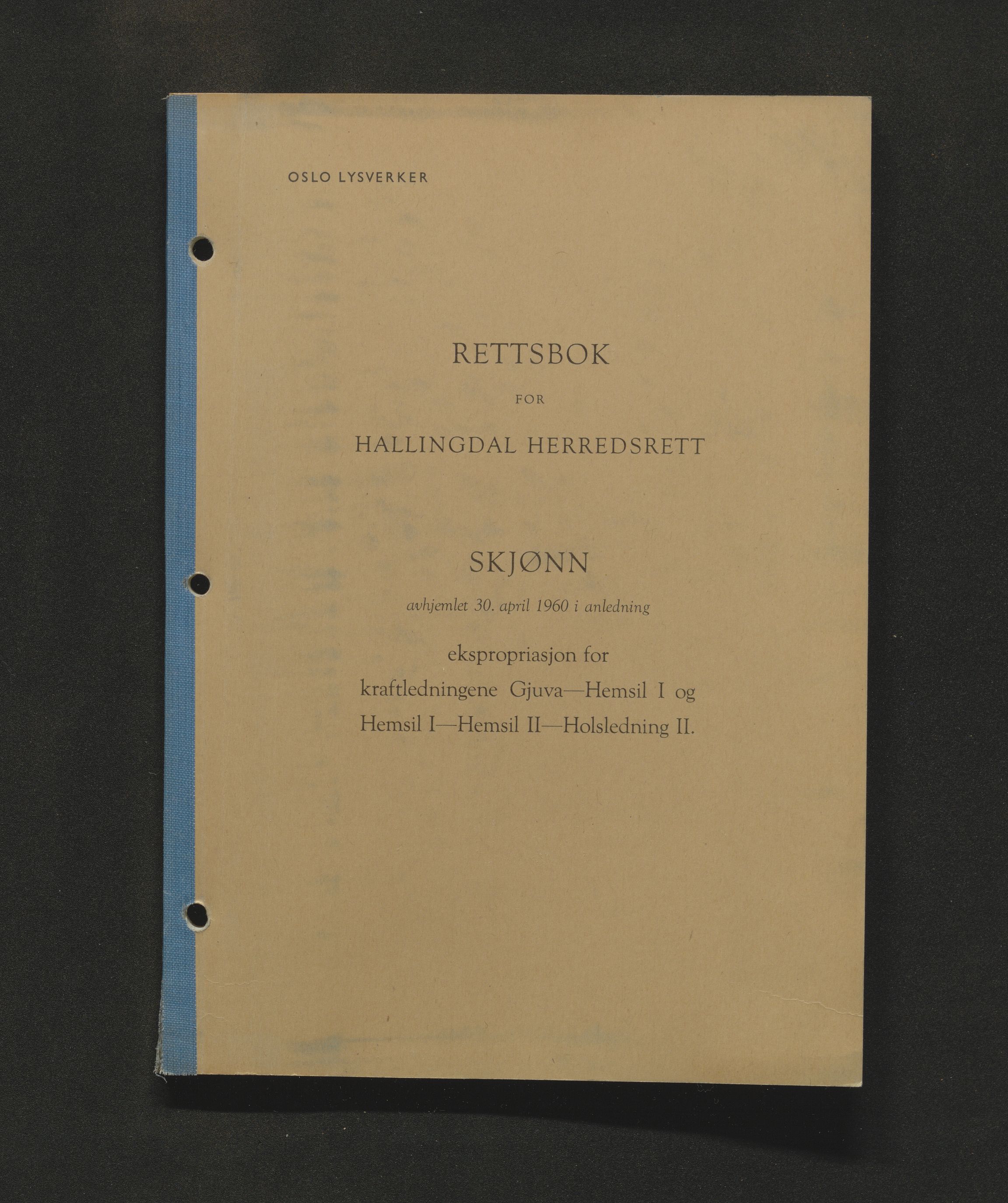 Hallingdal sorenskriveri, AV/SAKO-A-121/F/Fd/Fdc/L0004: Domsprotokoll, skjønnsprotokoll, 1960-1964