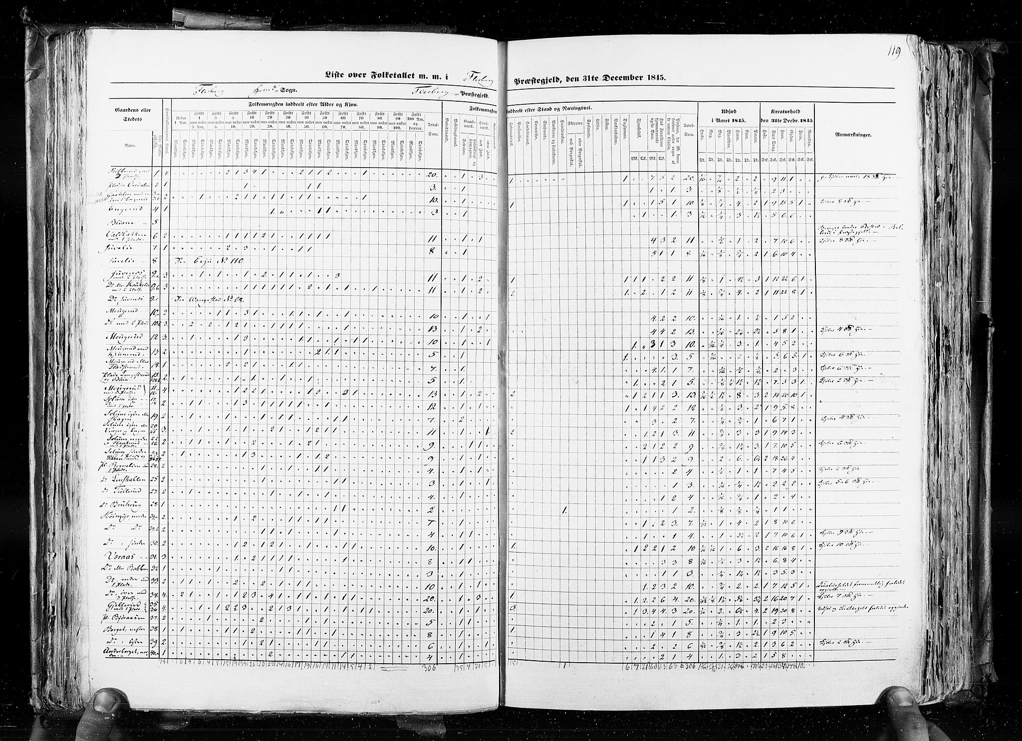 RA, Census 1845, vol. 4: Buskerud amt og Jarlsberg og Larvik amt, 1845, p. 119