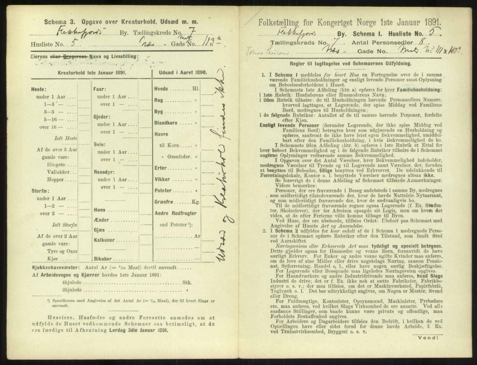 RA, 1891 census for 1004 Flekkefjord, 1891, p. 262