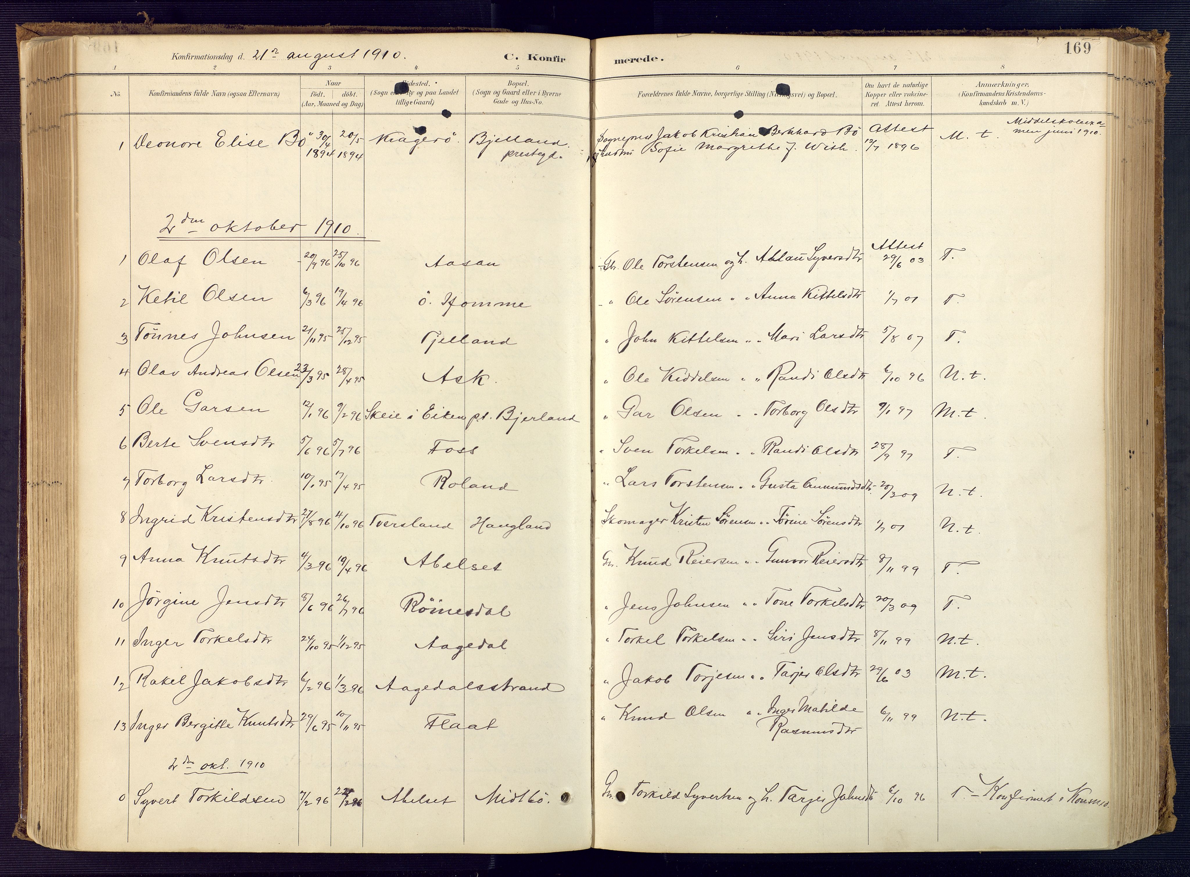 Bjelland sokneprestkontor, SAK/1111-0005/F/Fa/Faa/L0004: Parish register (official) no. A 4, 1887-1923, p. 169