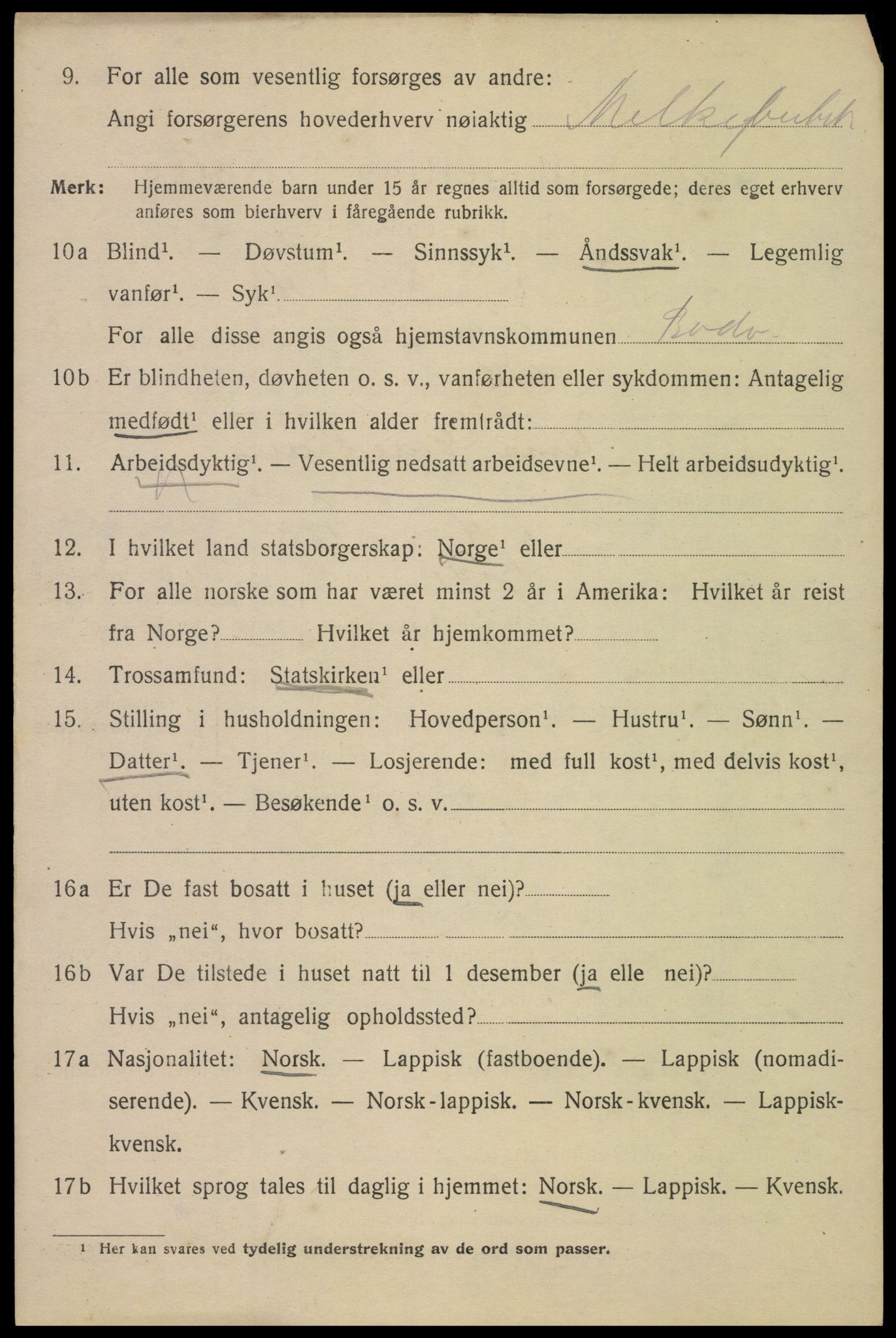 SAT, 1920 census for Bodø, 1920, p. 6990